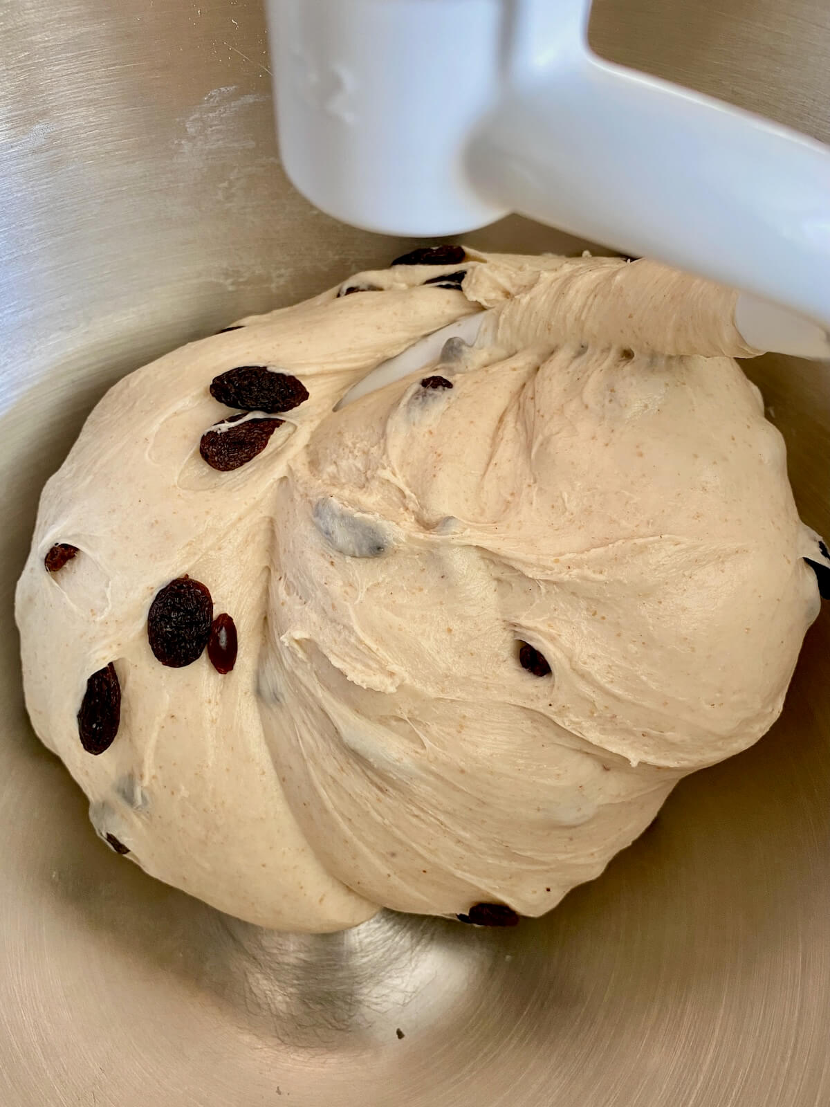 The kneaded dough with raisins mixed in in a bowl of a stand mixer fitted with a dough hook.