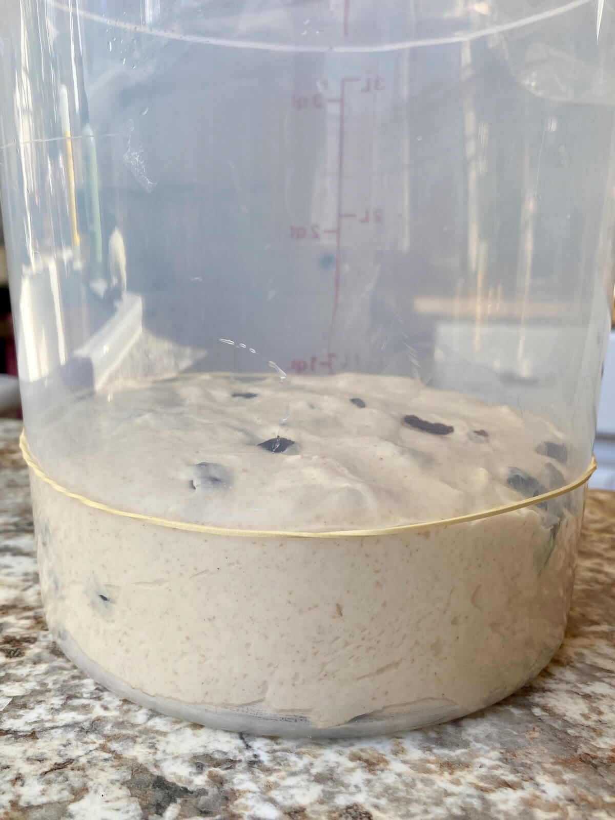 The dough in a straight-sided container before bulk fermenting.
