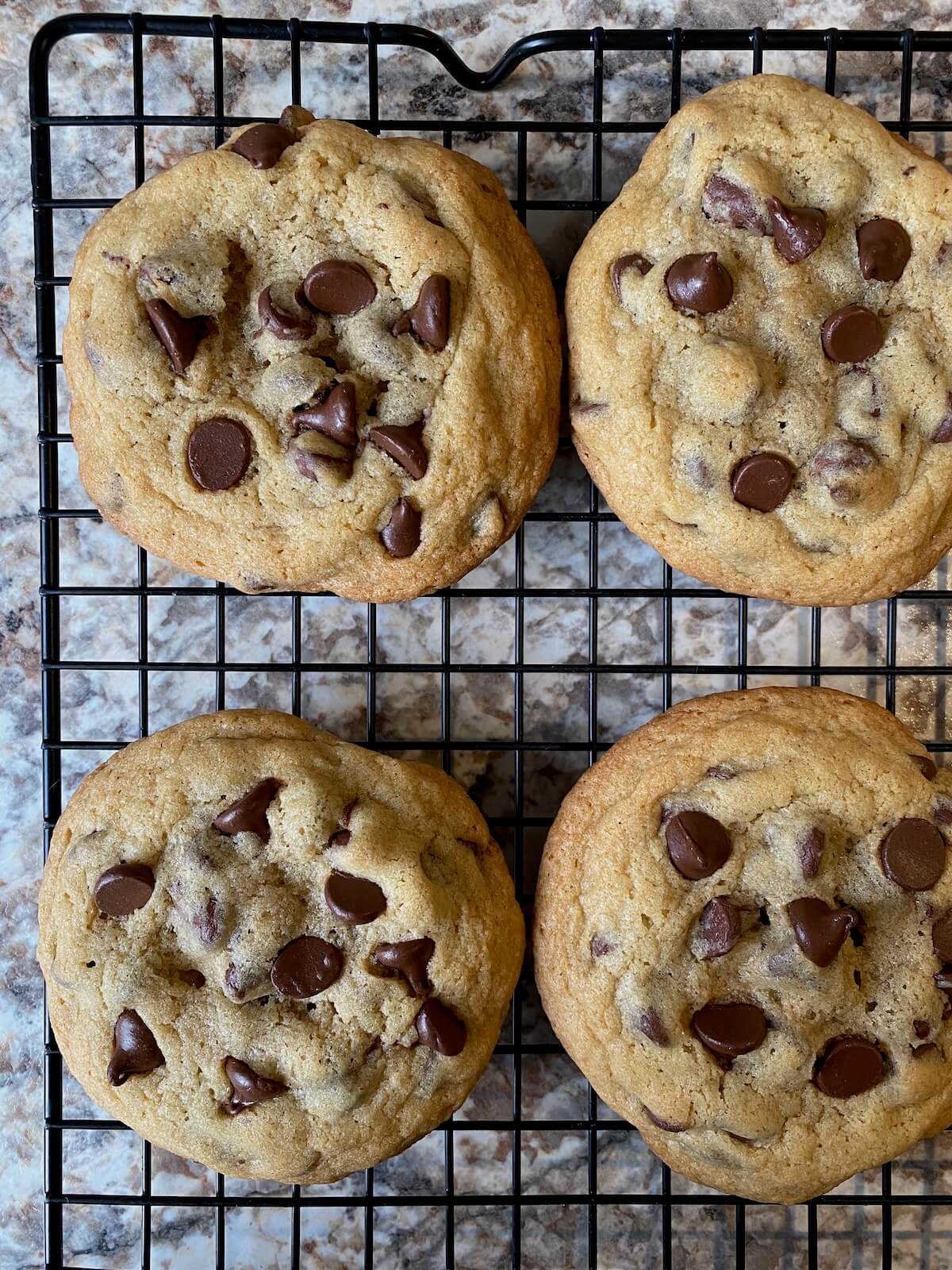 Four chocolate chip sourdough discard cookies on a wire cooling rack.
