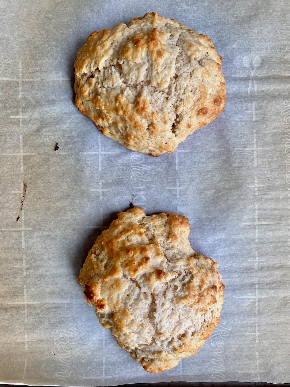 Two baked sourdough drop biscuits on a parchment-lined baking sheet.