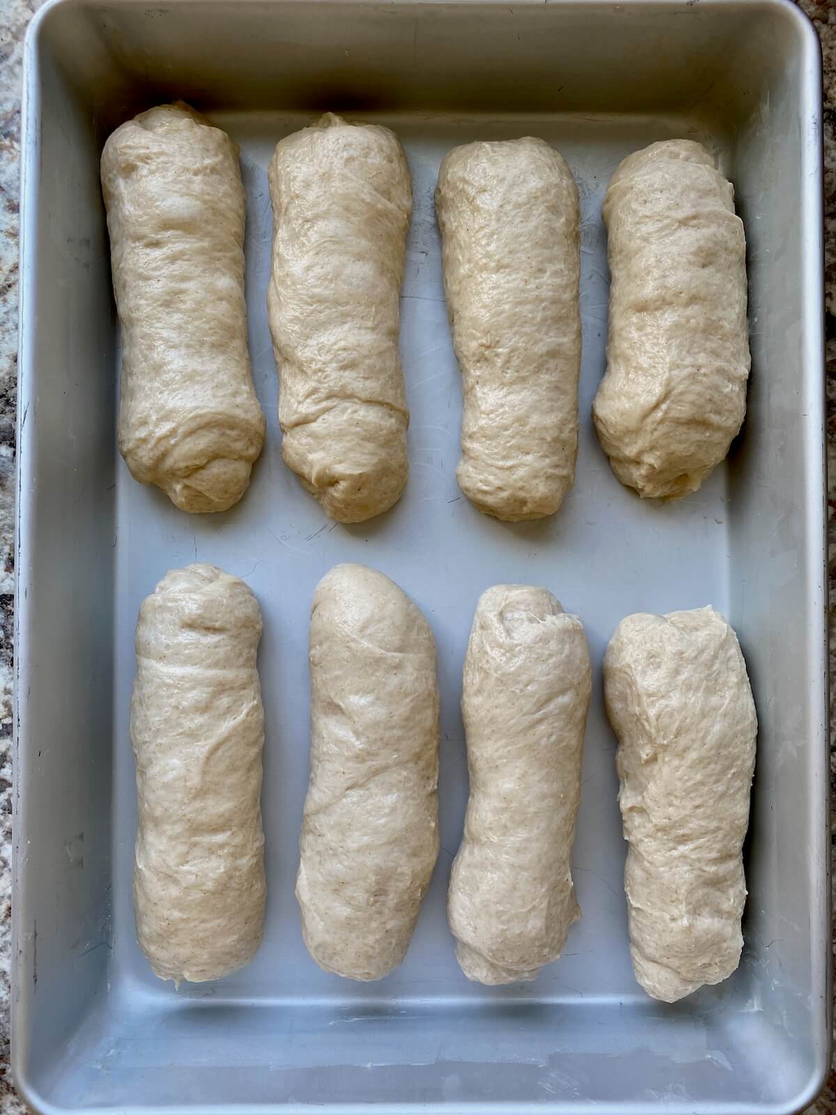 Eight sourdough hot dog buns shaped in a 9x13" pan.