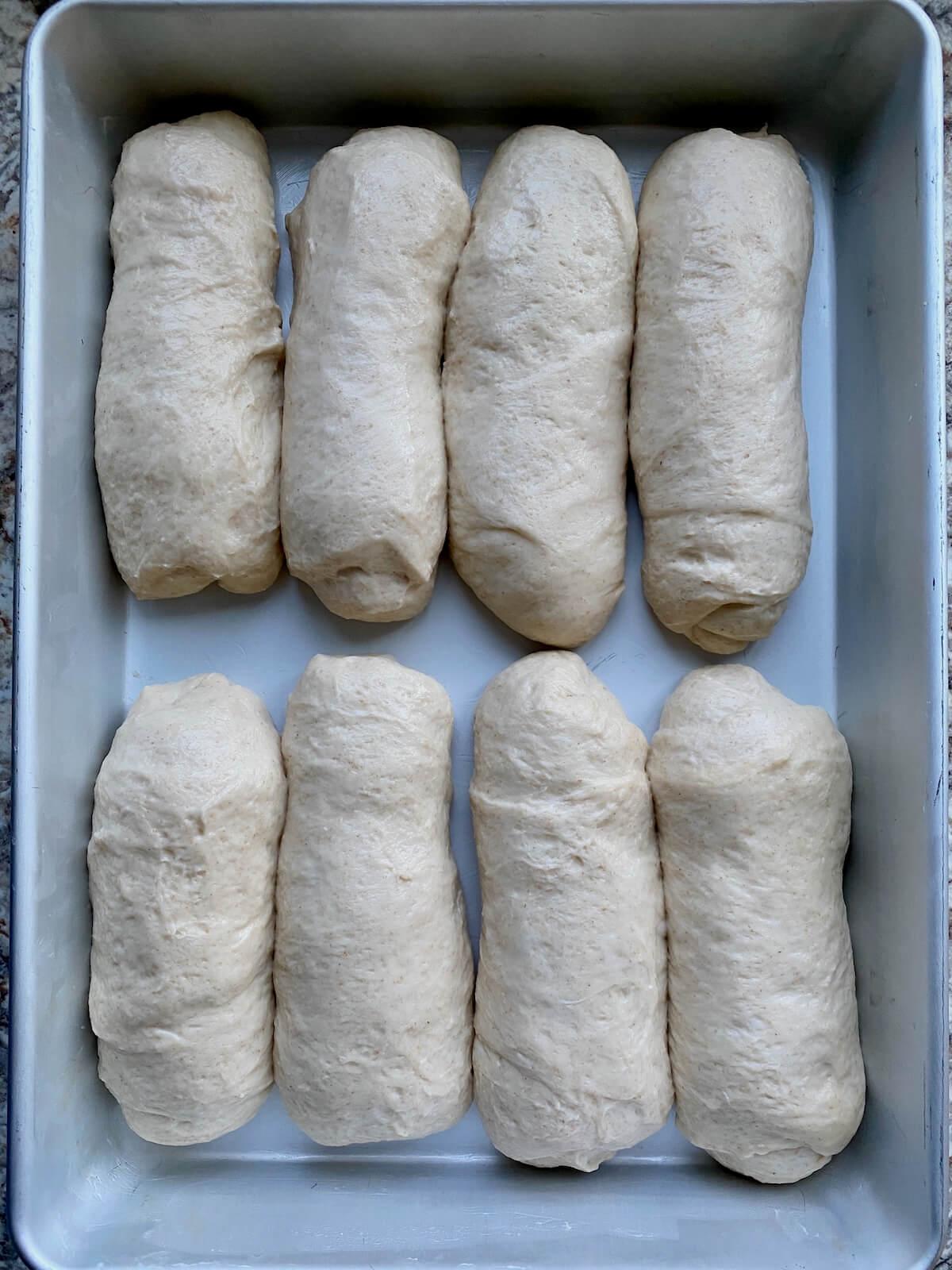 Proofed sourdough hot dog buns in a 9x13" pan.