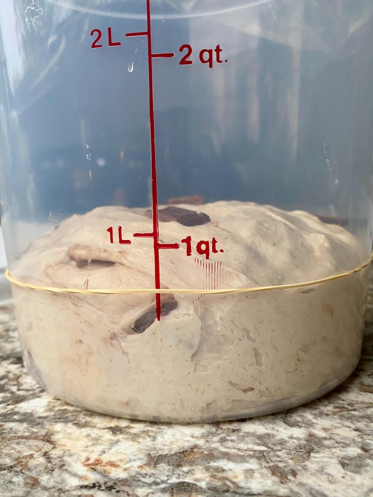 Sourdough s'more bread in a straight-sided proofing container before bulk fermentation.