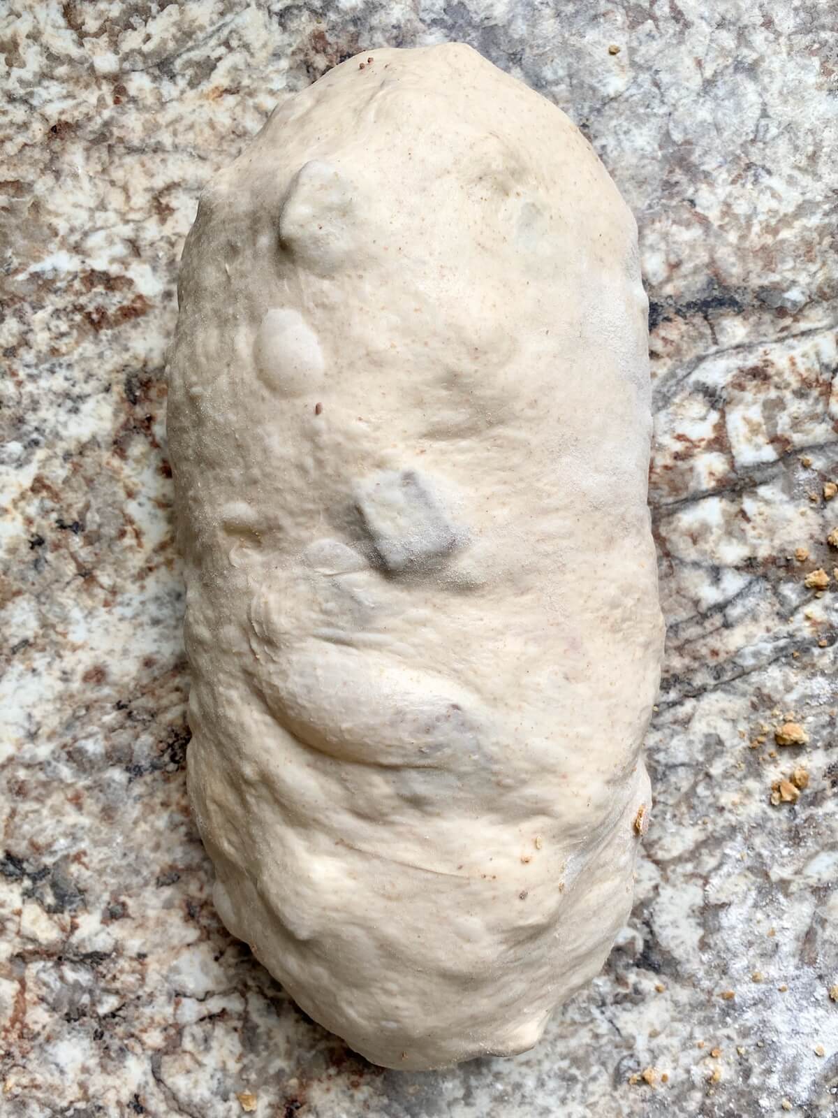 S'mores sourdough bread dough rolled into a log shape.