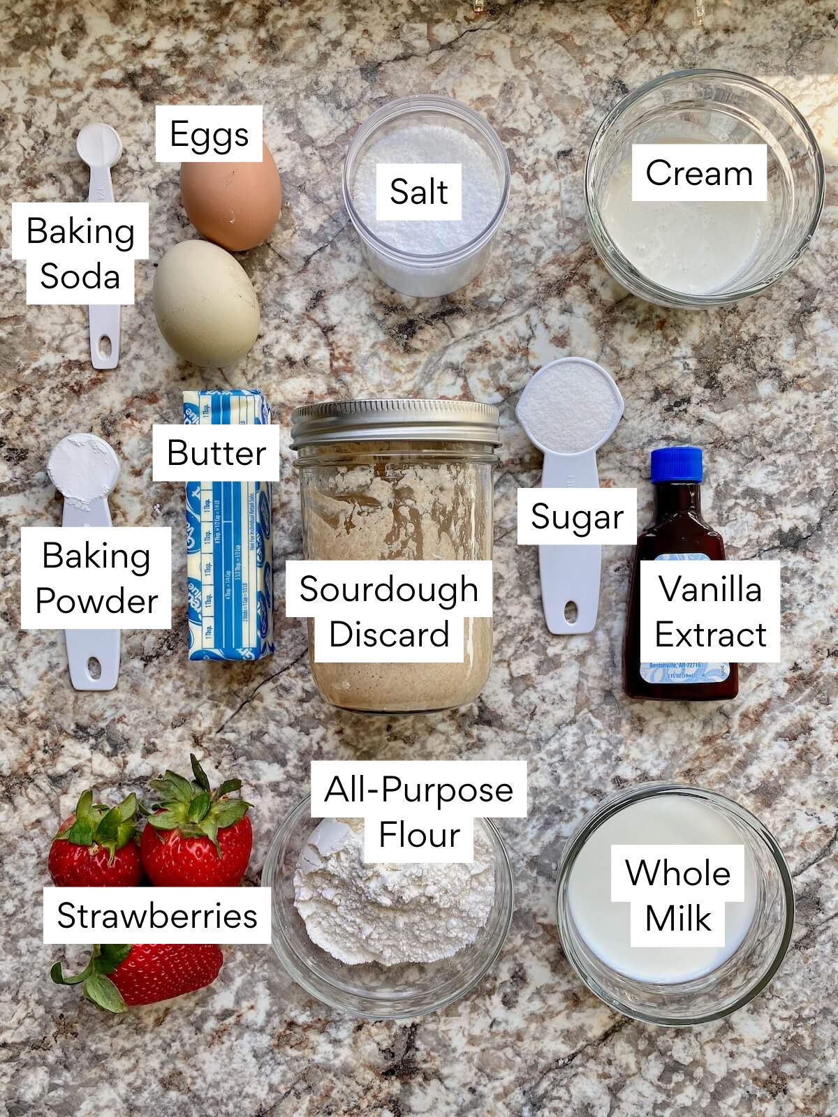 The ingredients to make sourdough strawberry muffins. Each ingredient is labeled with text. They include strawberries, all-purpose flour, whole milk, vanilla extract, sugar, sourdough discard, butter, baking powder, baking soda, eggs, salt, and cream.