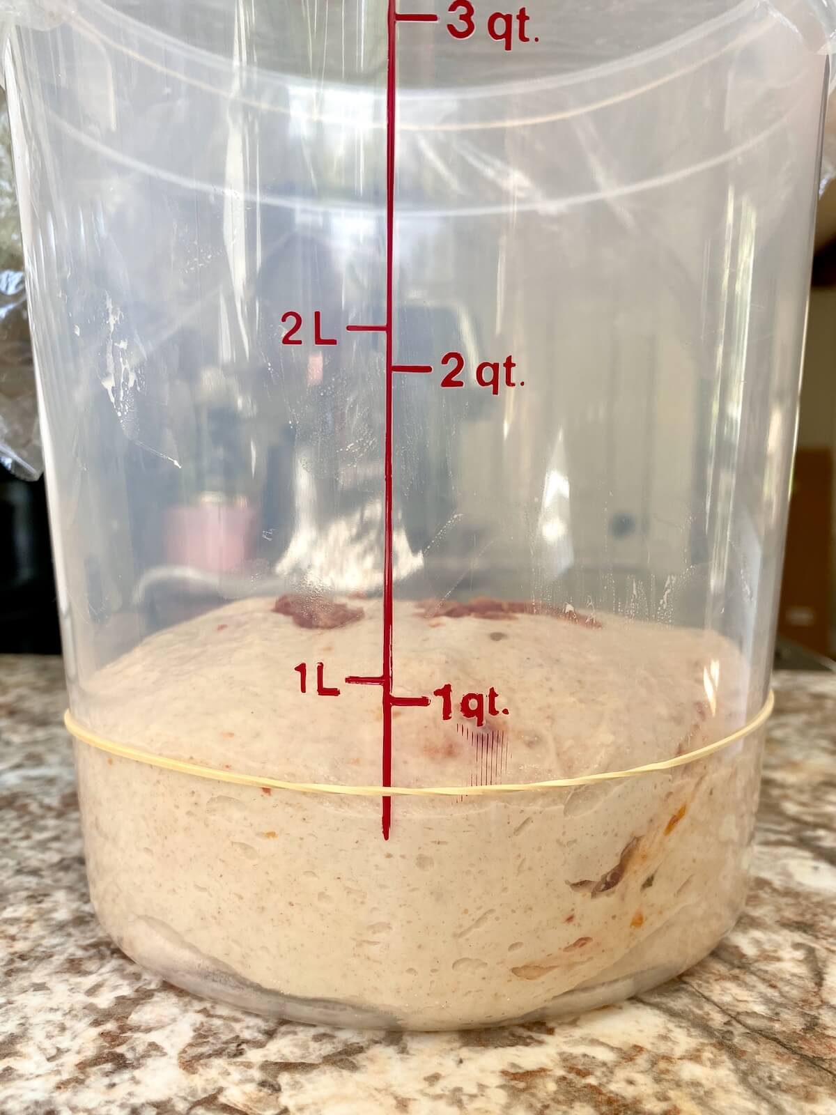 Sun dried tomato sourdough bread dough in a straight-sided proofing container before bulk fermenting.