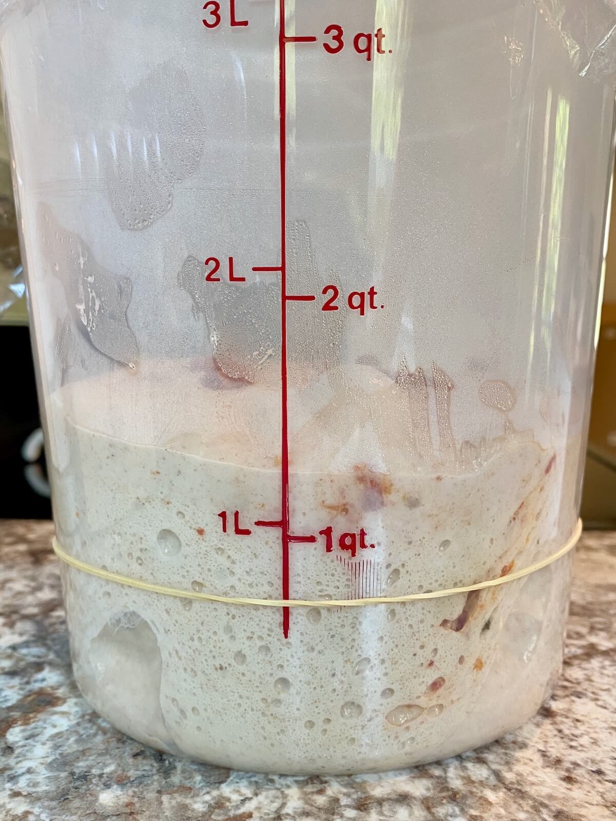 Sun dried tomato sourdough bread dough in a straight-sided proofing container after bulk fermenting.