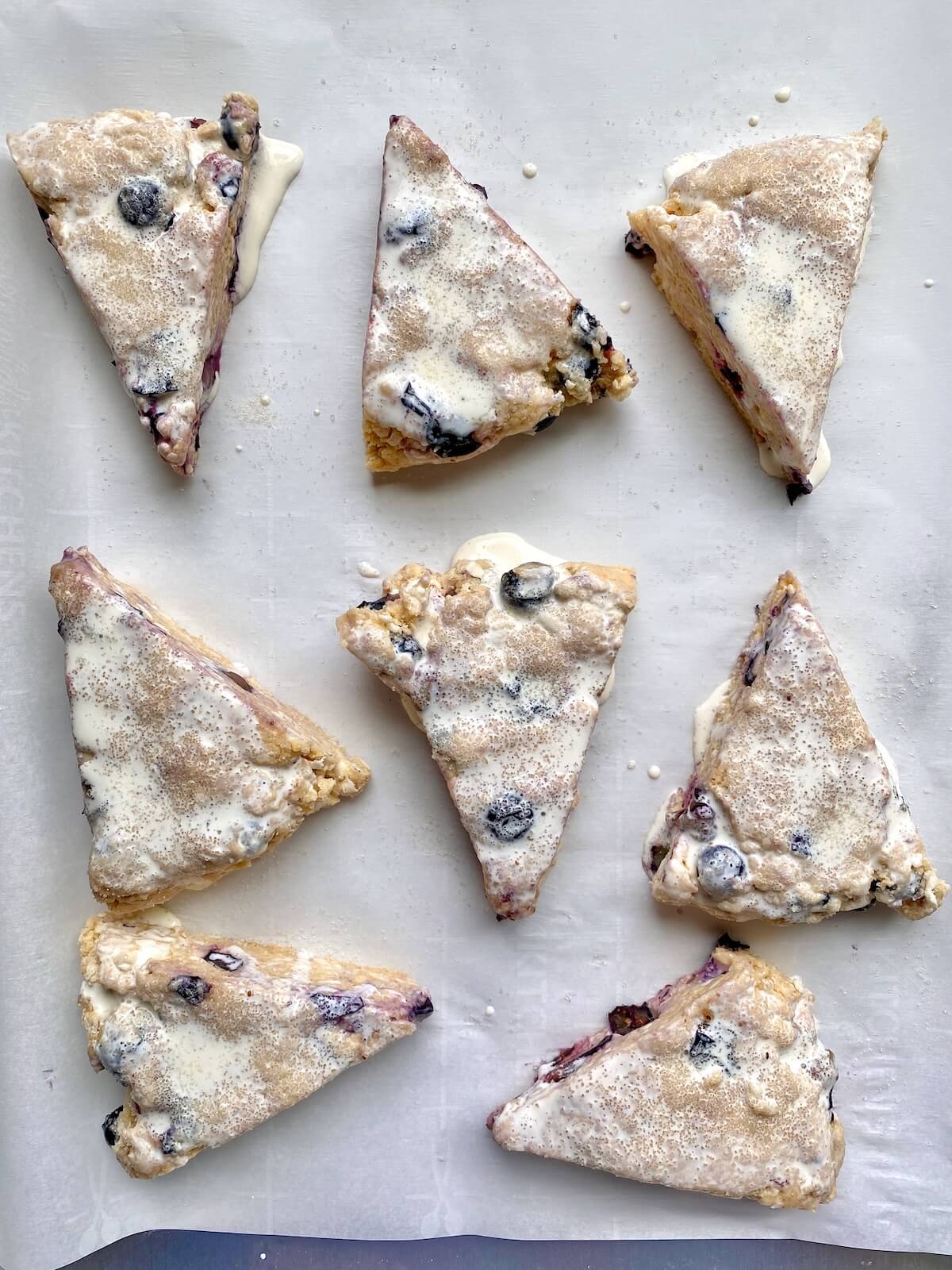 Eight blueberry sourdough scones cut into triangles, brushed with butter, and sprinkled with coarse sugar on a parchment-lined baking sheet.
