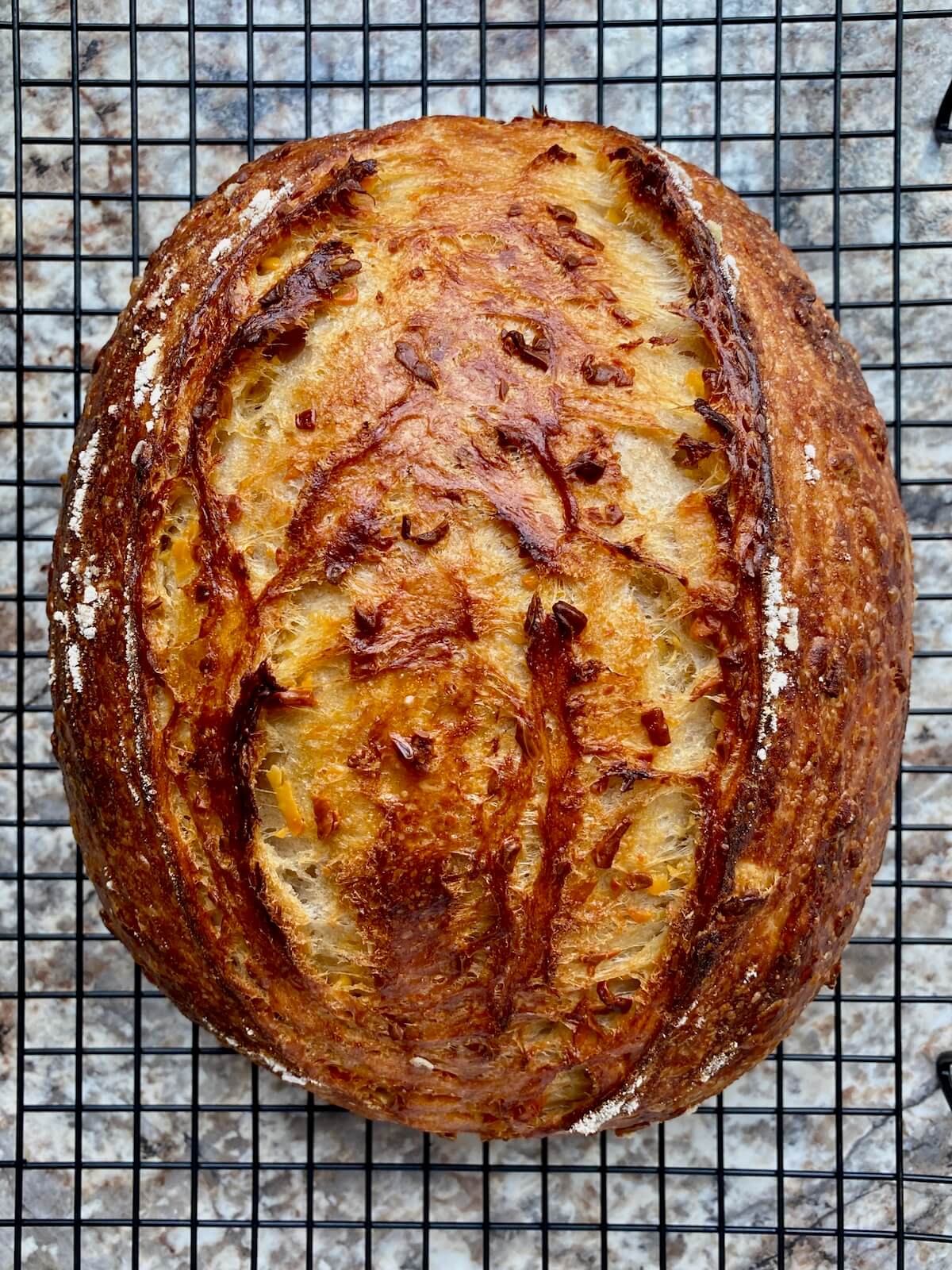 A baked loaf of cheddar cheese sourdough bread on a wire cooling rack.