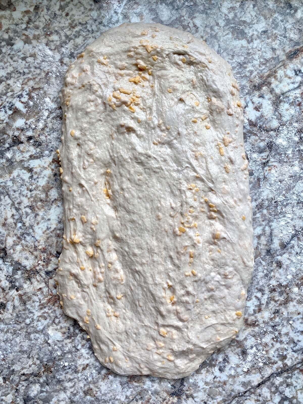 Fermented cheddar sourdough bread dough stretched out into a rectangle on a floured counter.