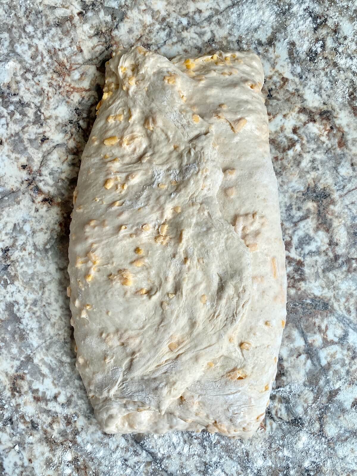 Cheddar cheese sourdough bread dough folded like a letter during the shaping process.