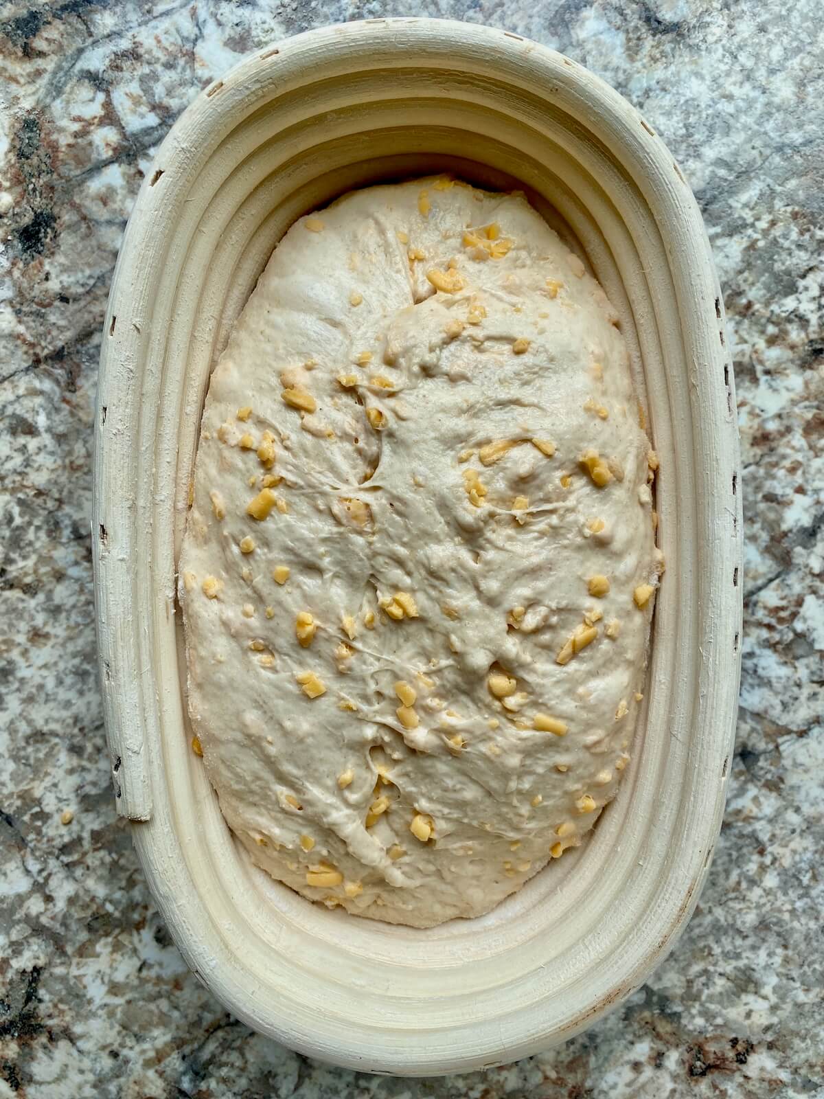 Cheddar sourdough bread dough in an oval proofing basket.
