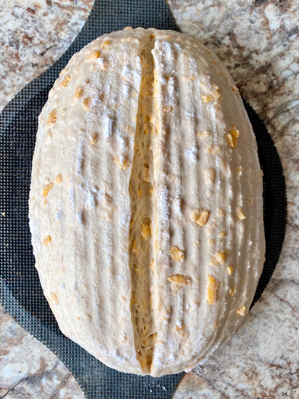 A scored loaf of sourdough bread with cheddar cheese on a bread sling before baking.