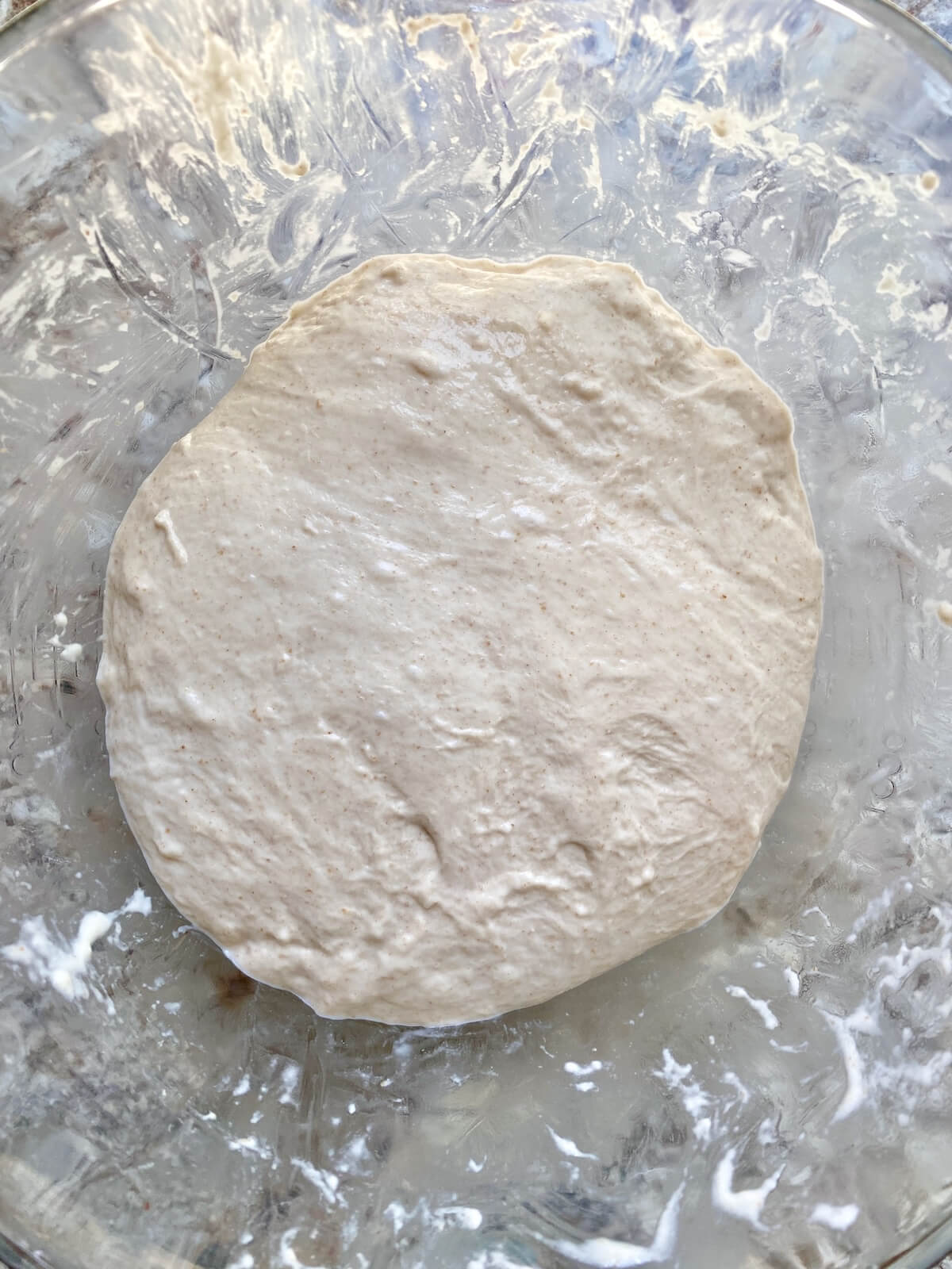 Sourdough focaccia dough after being stretched and folded in a glass bowl.