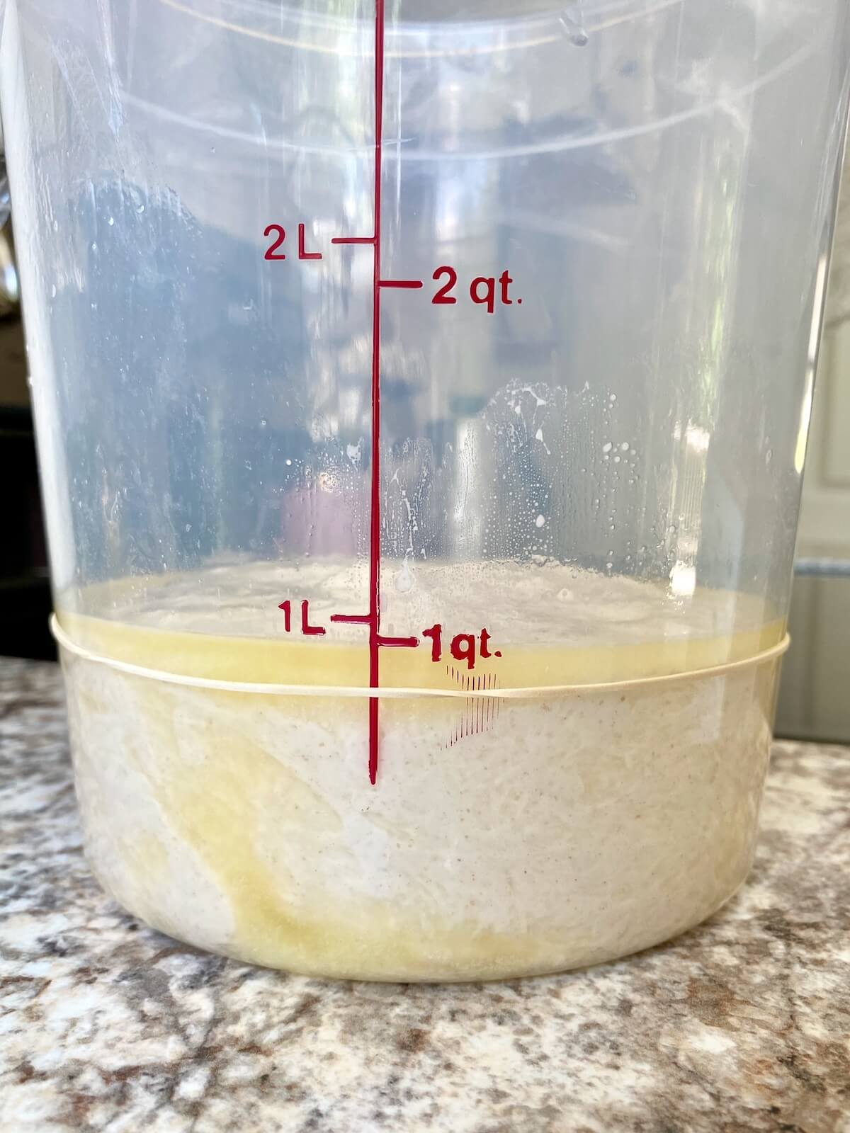Sourdough discard focaccia dough with butter in a straight-sided container before bulk fermentation.