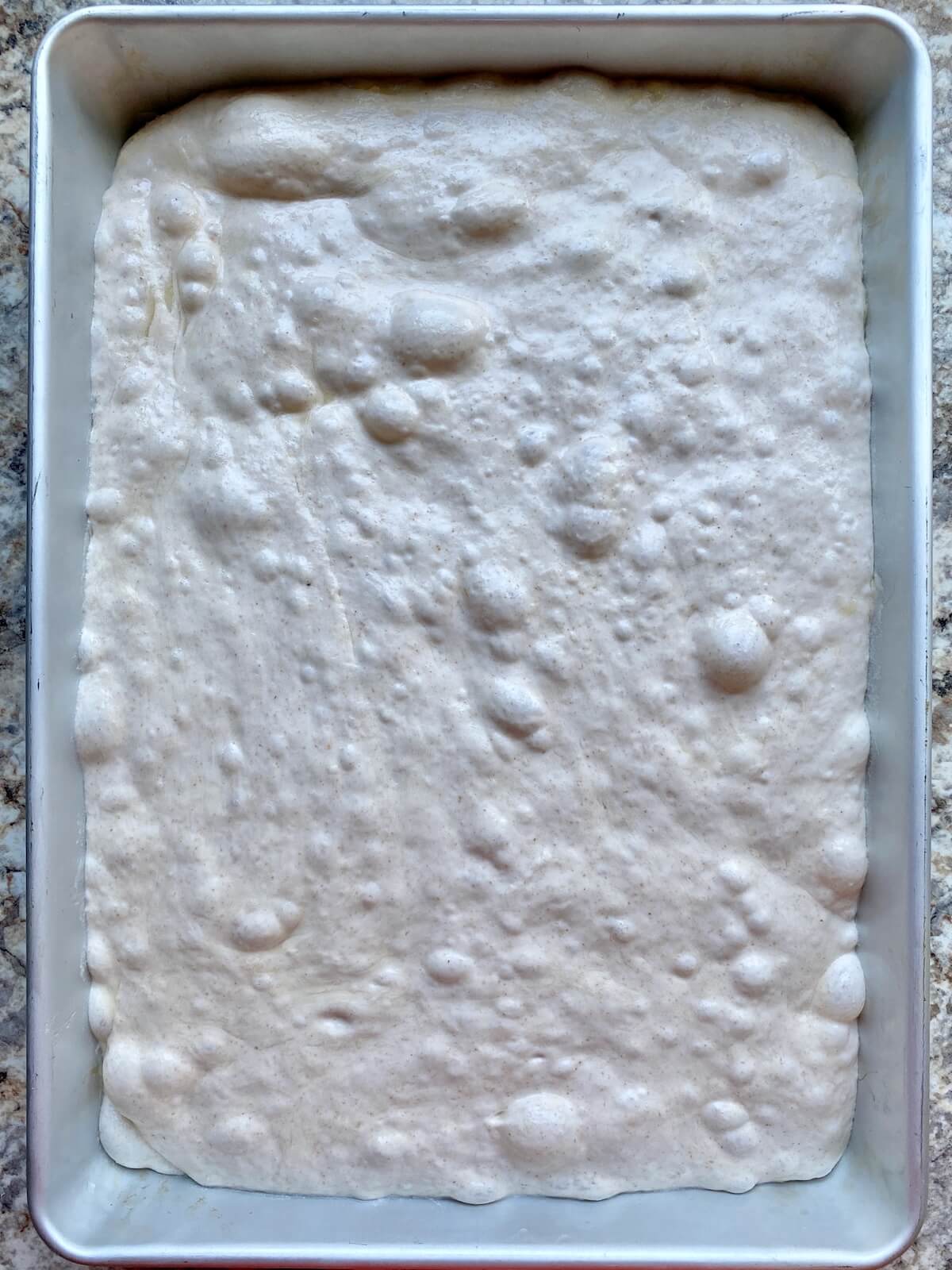 Sourdough focaccia dough in an aluminum baking pan after proofing.