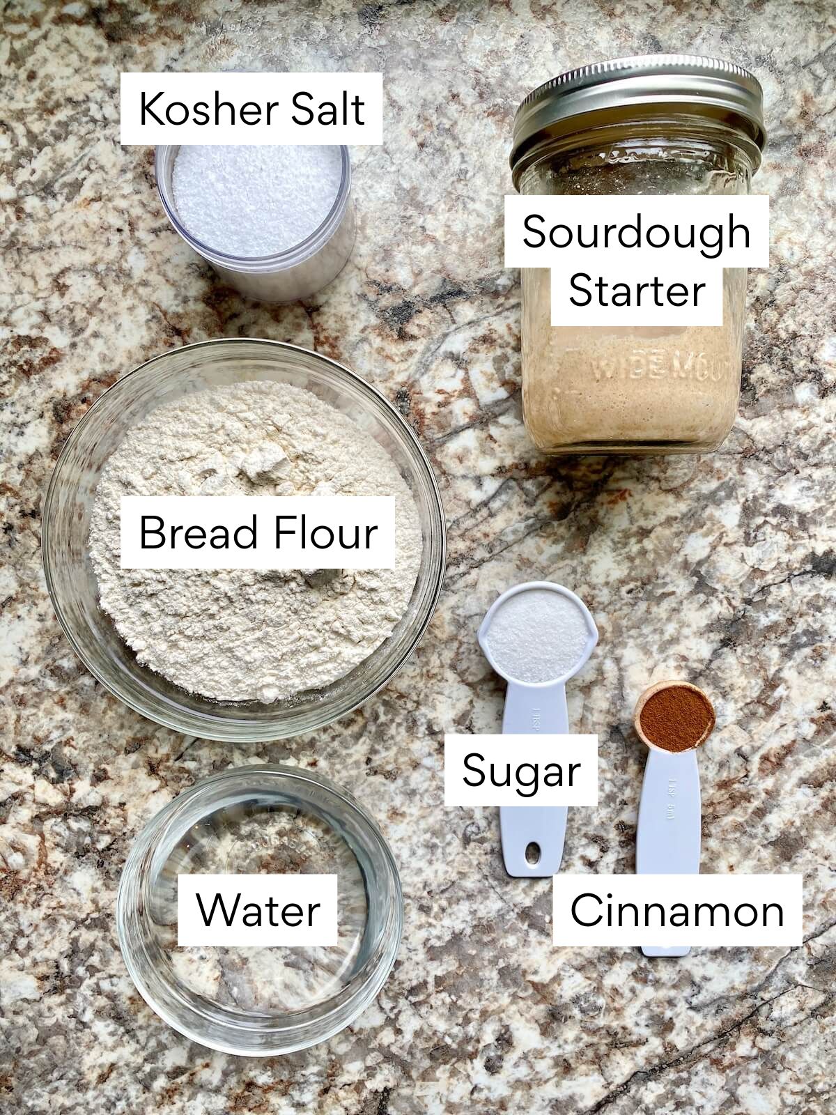 The ingredients to make cinnamon sugar sourdough bread. Each ingredient is labeled with text. They include sourdough starter, bread flour, kosher salt, water, sugar, and cinnamon.