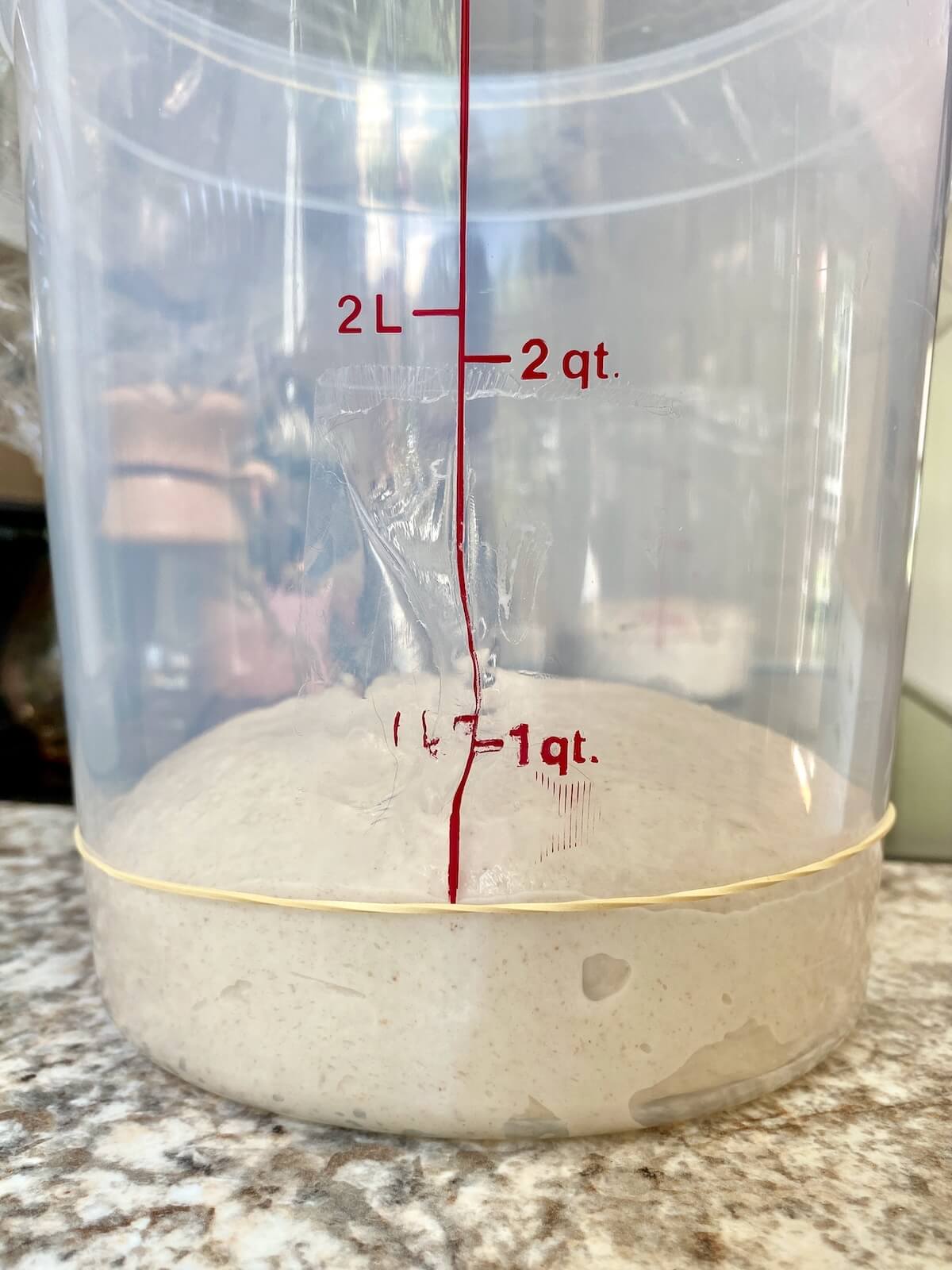 Sourdough bread dough in a straight sided proofing container before bulk fermentation.