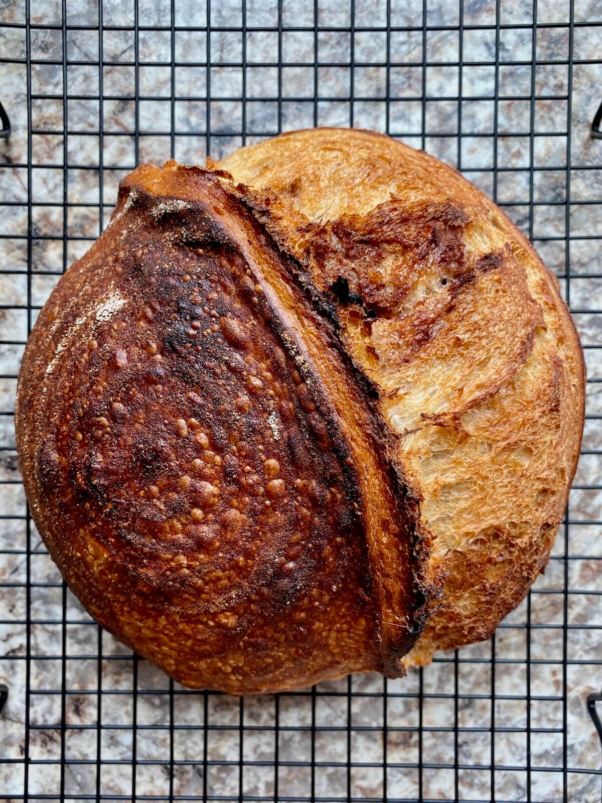 A baked loaf of cinnamon sugar sourdough bread on a wire cooling rack.