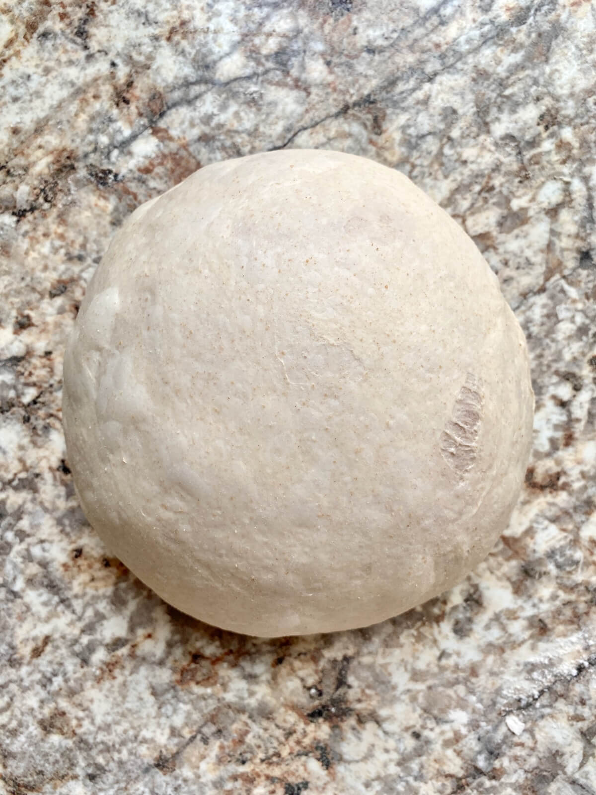 A shaped cinnamon sugar sourdough bread dough ball on a counter.