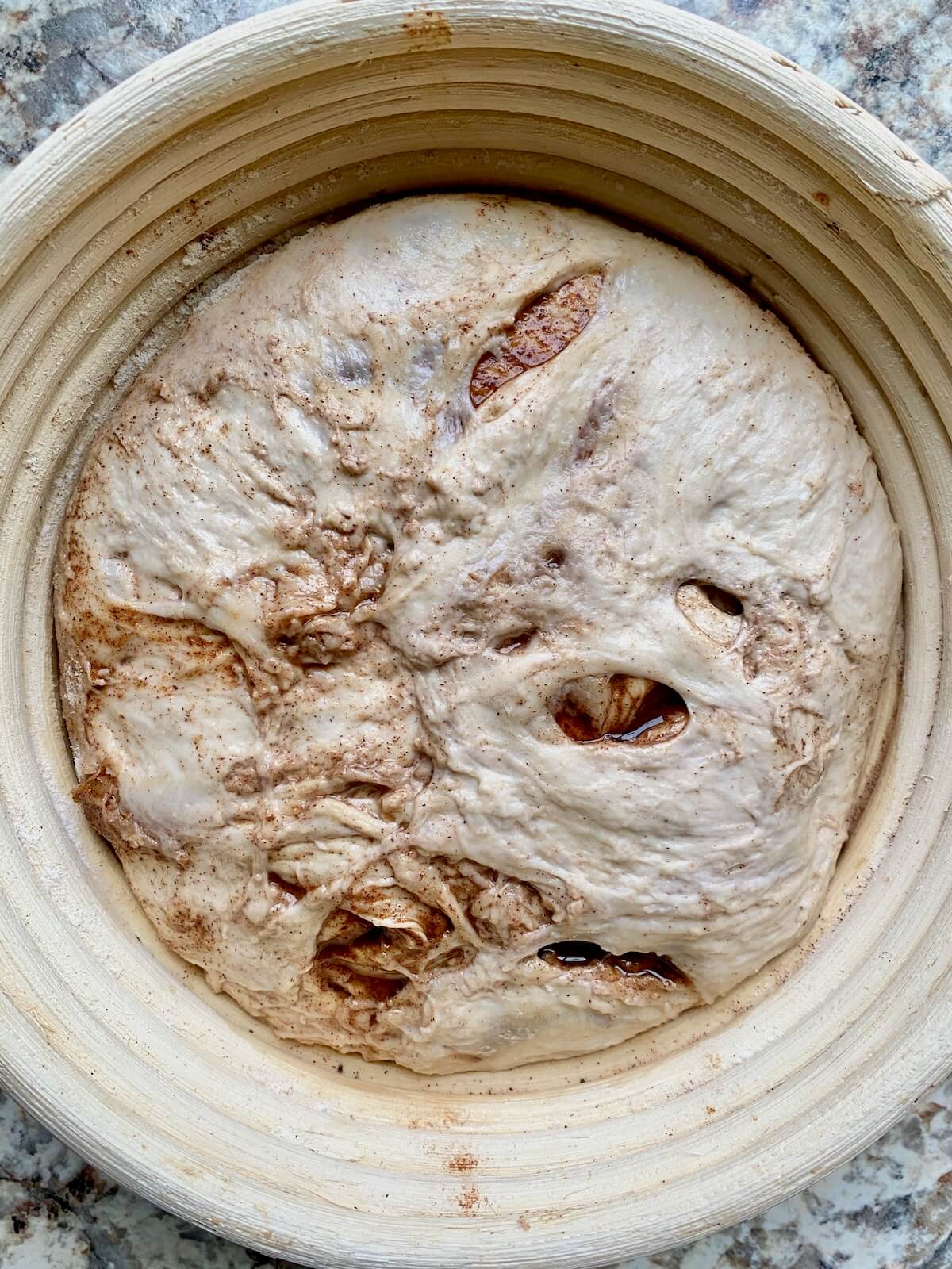 Cinnamon sugar sourdough bread dough in a round proofing basket.