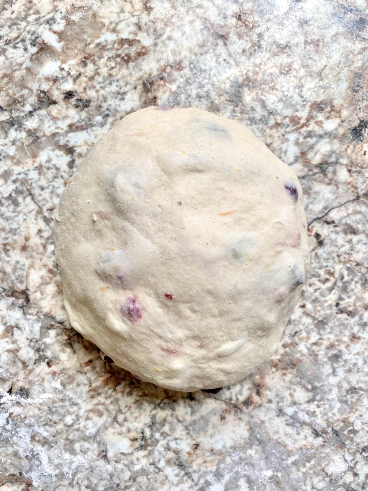 Cranberry orange sourdough bread dough shaped into a round boule on a floured countertop.