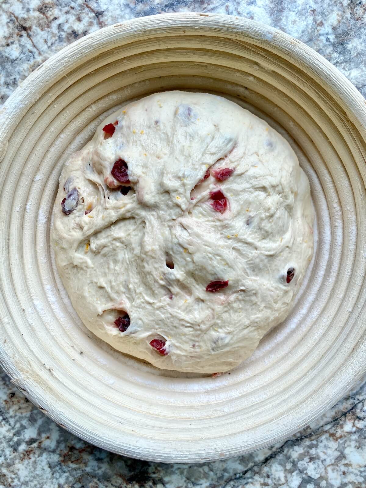 Cranberry orange sourdough bread dough in a banneton proofing basket before proofing overnight in the refrigerator.
