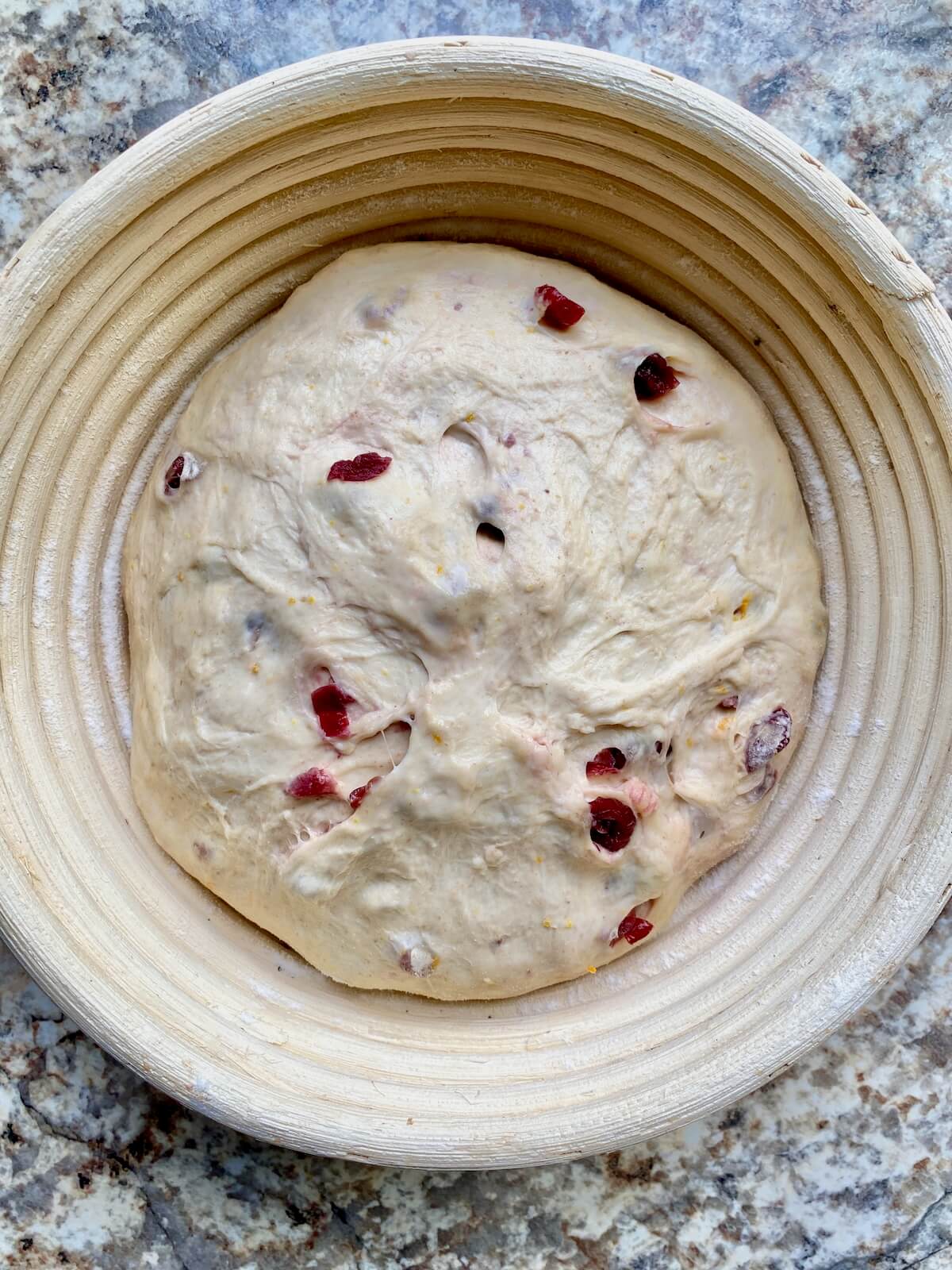 An overnight proofed orange cranberry sourdough bread dough in a banneton basket.