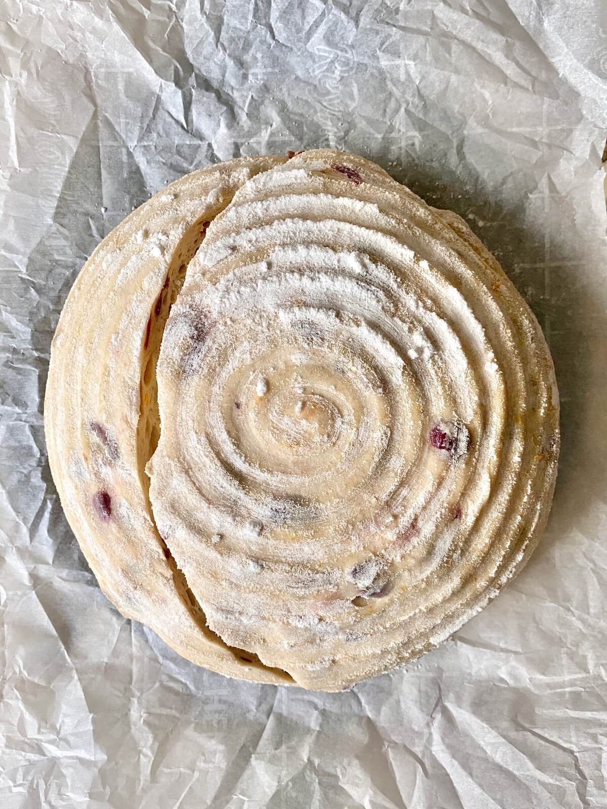 The cranberry orange sourdough bread dough scored on a piece of parchment paper, ready to be baked.