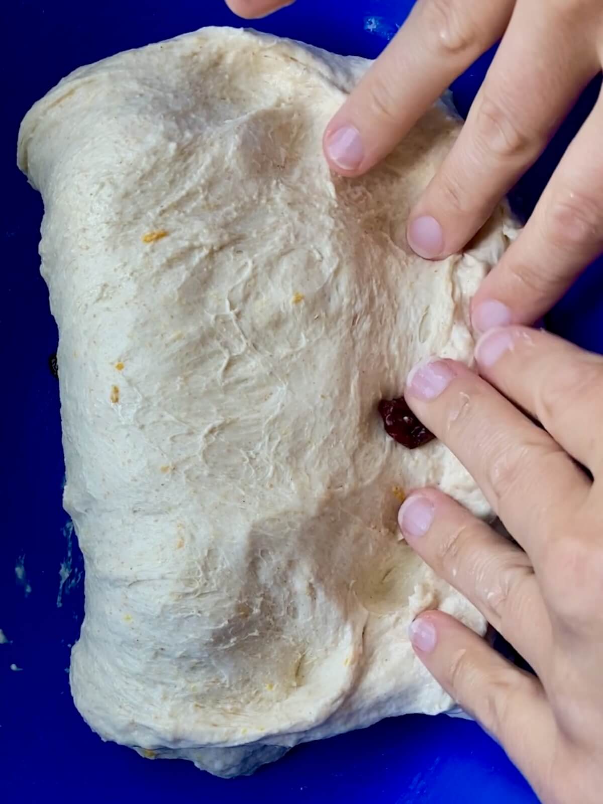 Cranberry orange sourdough being stretched and folded.