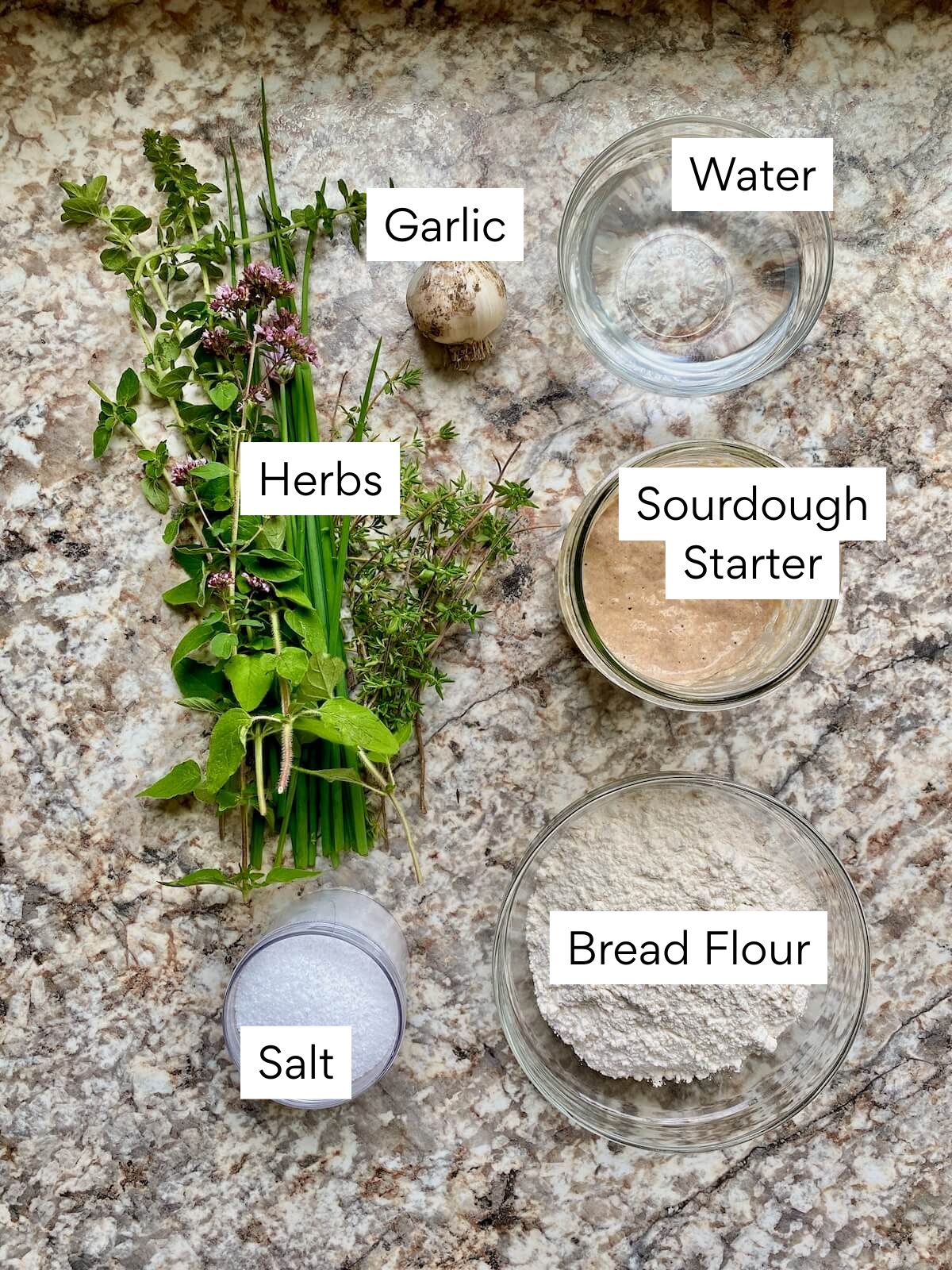 The ingredients to make garlic sourdough bread with herbs. Each ingredient is labeled with text. They include garlic, herbs, sourdough starter, water, bread flour, and salt.