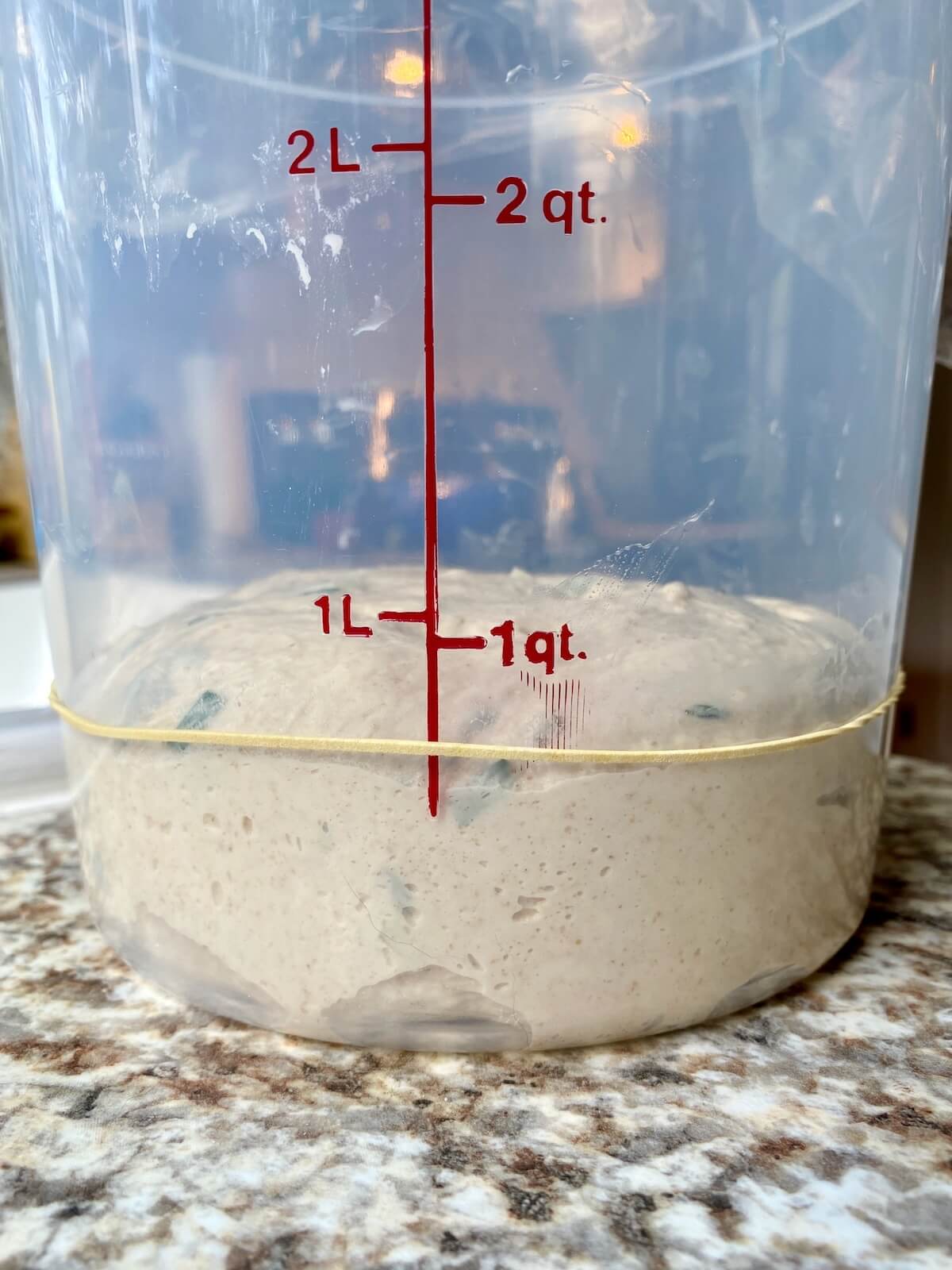 The dough in a straight sided container before bulk fermentation.