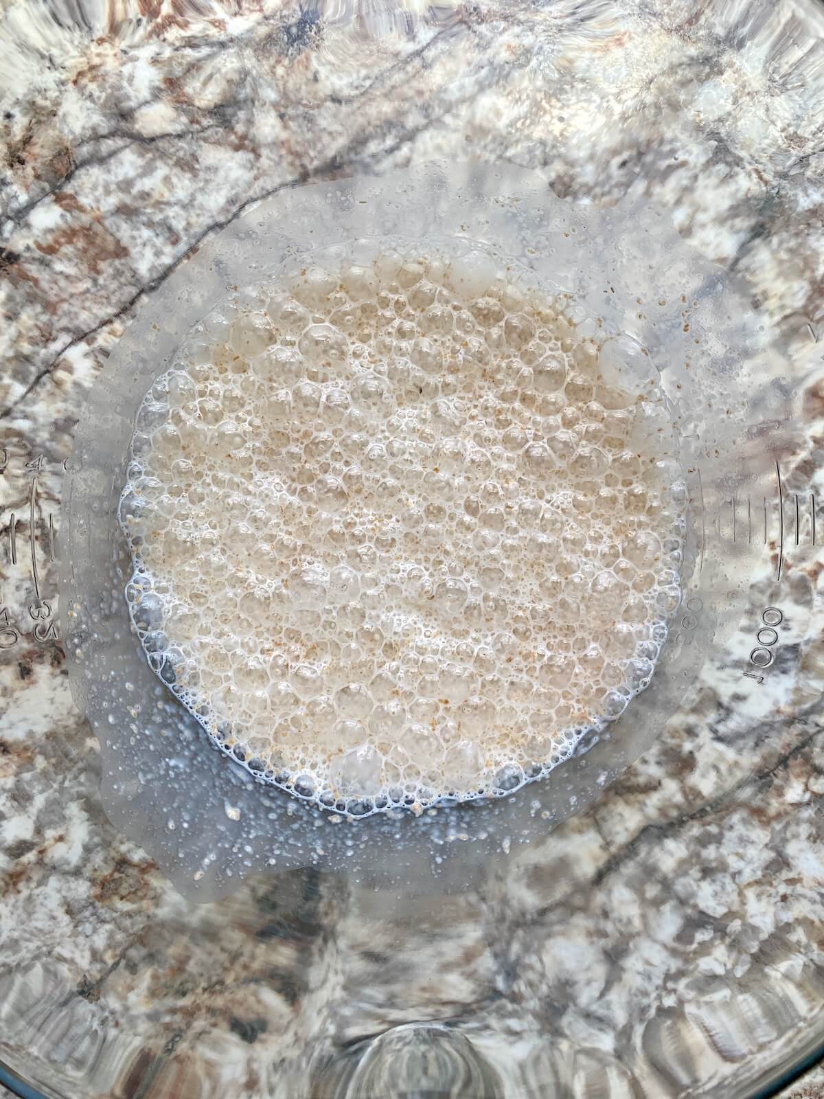 Milk, active sourdough starter, and sugar whisked together in a glass bowl.