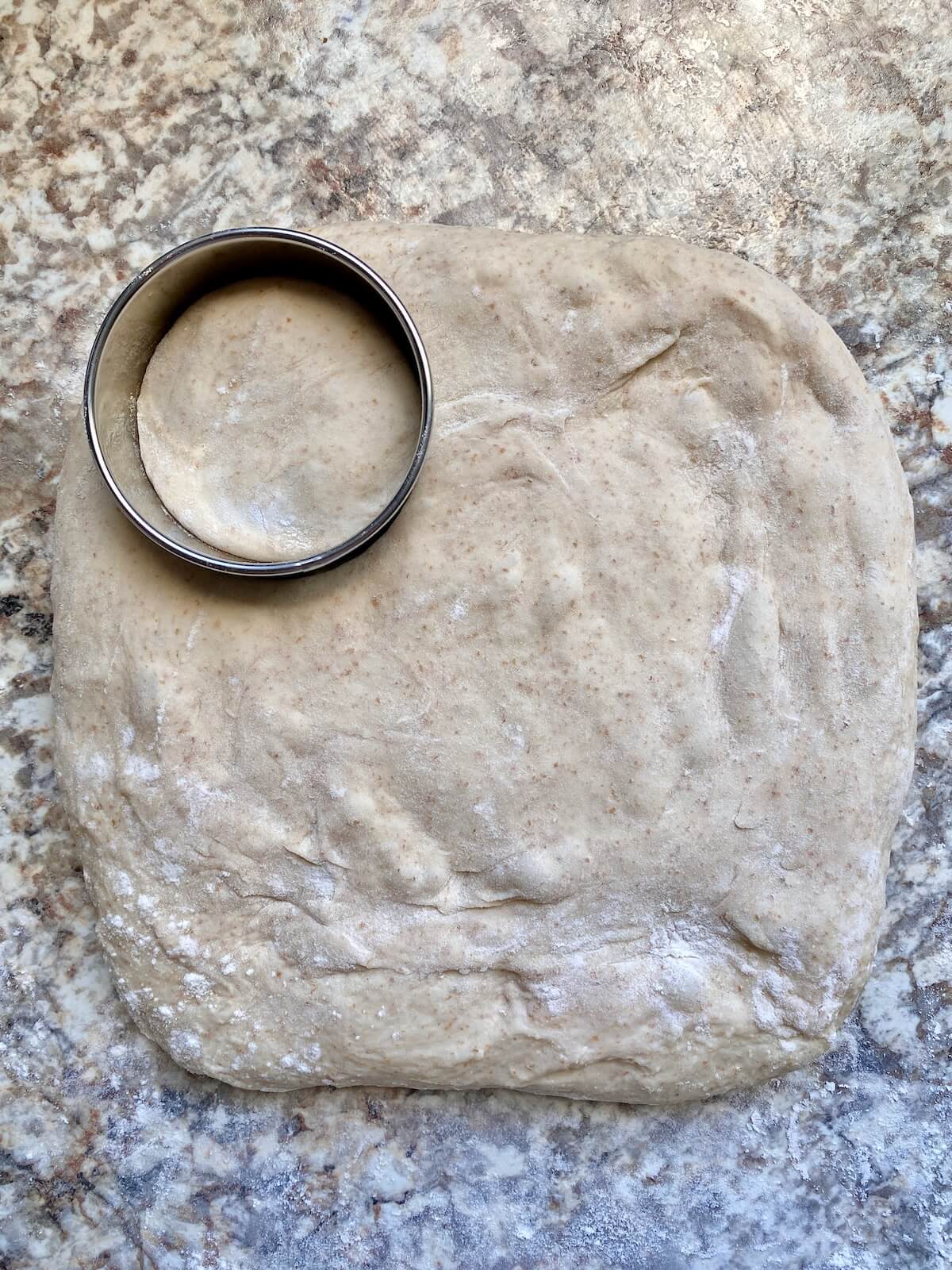 Sourdough English muffin dough pressed into a square on a floured countertop with a 3-inch round cutter pressed into it.