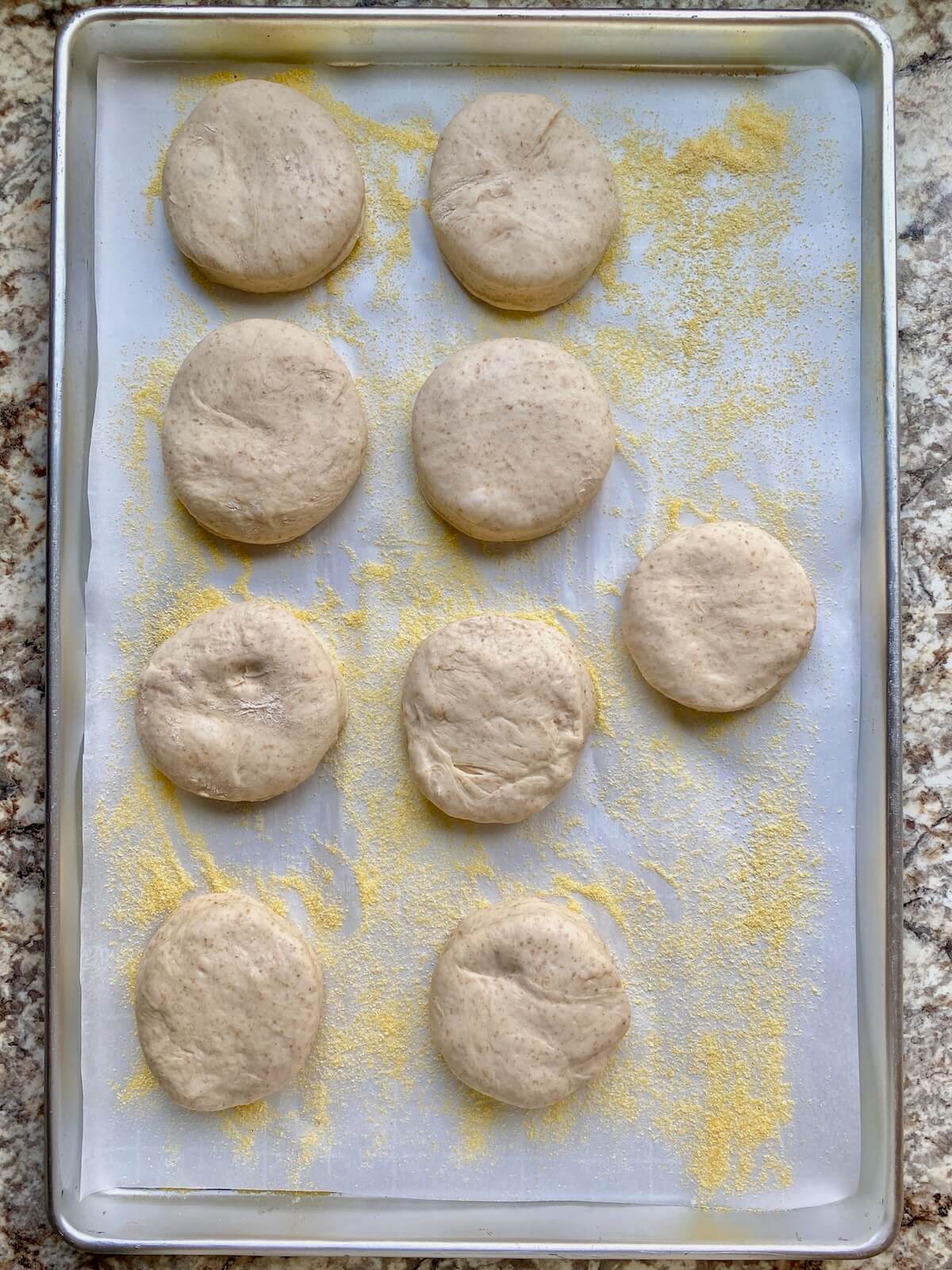 Nine sourdough English muffins on a parchment-lined, cornmeal-dusted baking sheet after proofing.