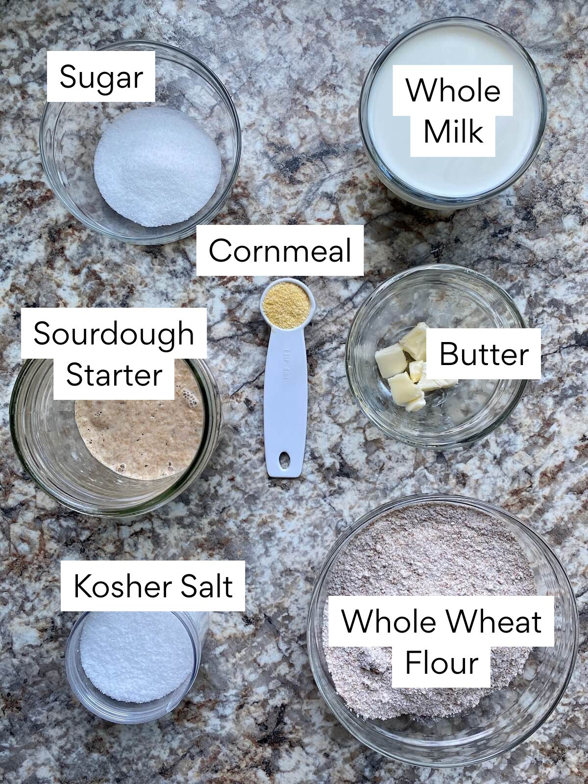 The ingredients to make sourdough whole wheat English muffins. Each ingredient is labeled with text. They include sugar, whole milk, cornmeal, sourdough starter, butter, kosher salt, and whole wheat flour.