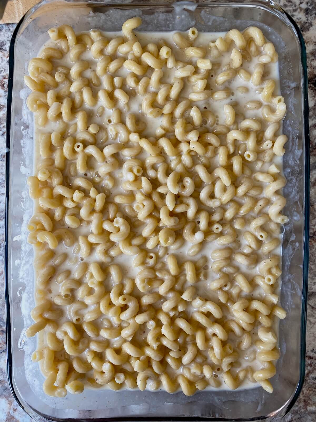 Cooked pasta mixed with sourdough discard cheese sauce in a casserole dish.