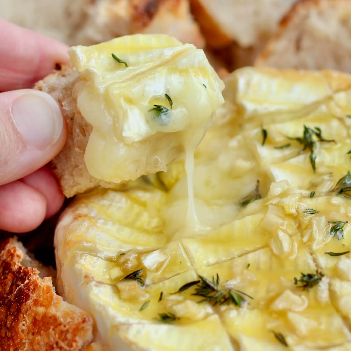 A hand scooping melty brie cheese up with a piece of sourdough bread.