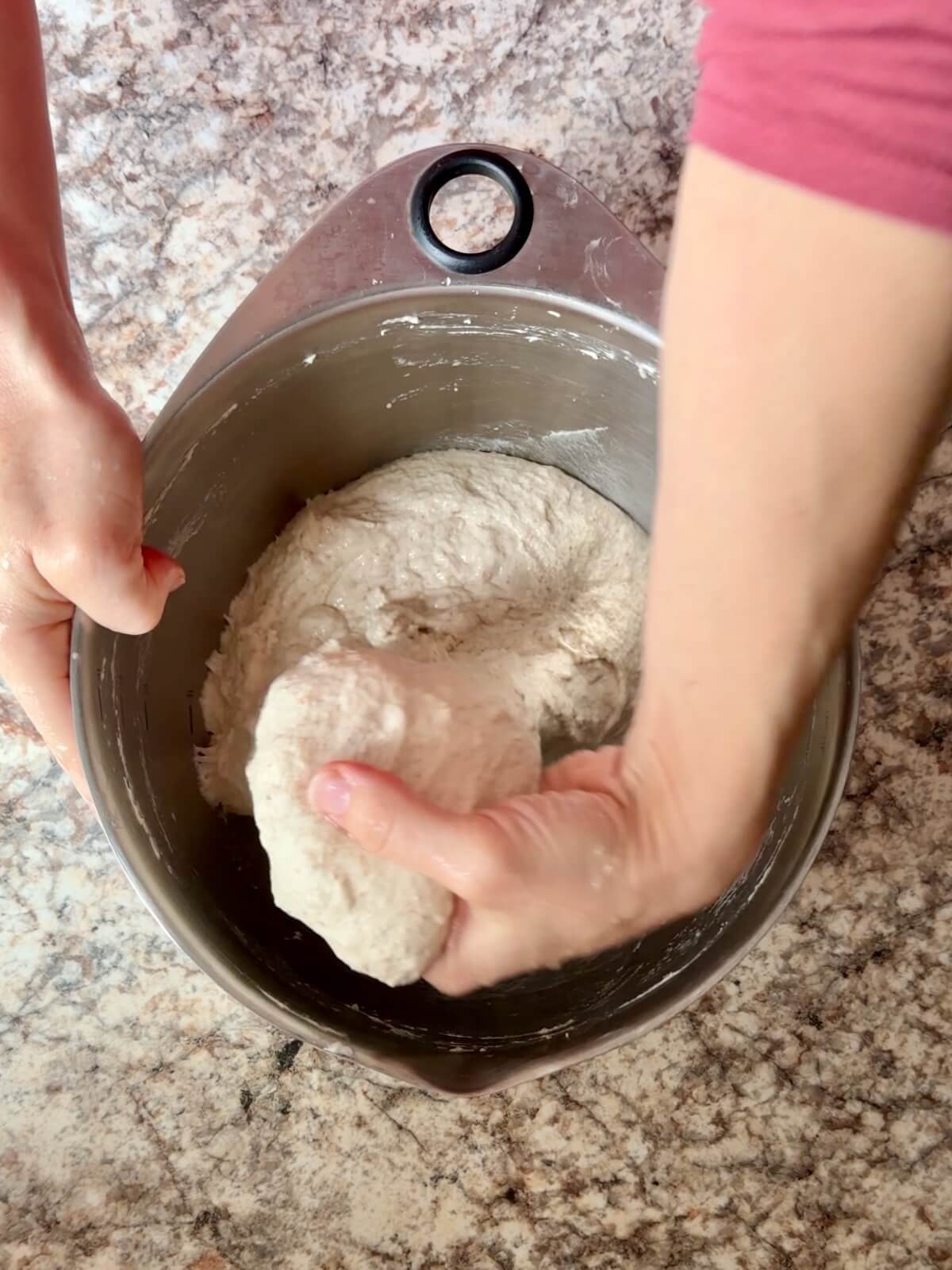 Two hands stretching the sourdough focaccia dough up out of a stainless steel bowl.