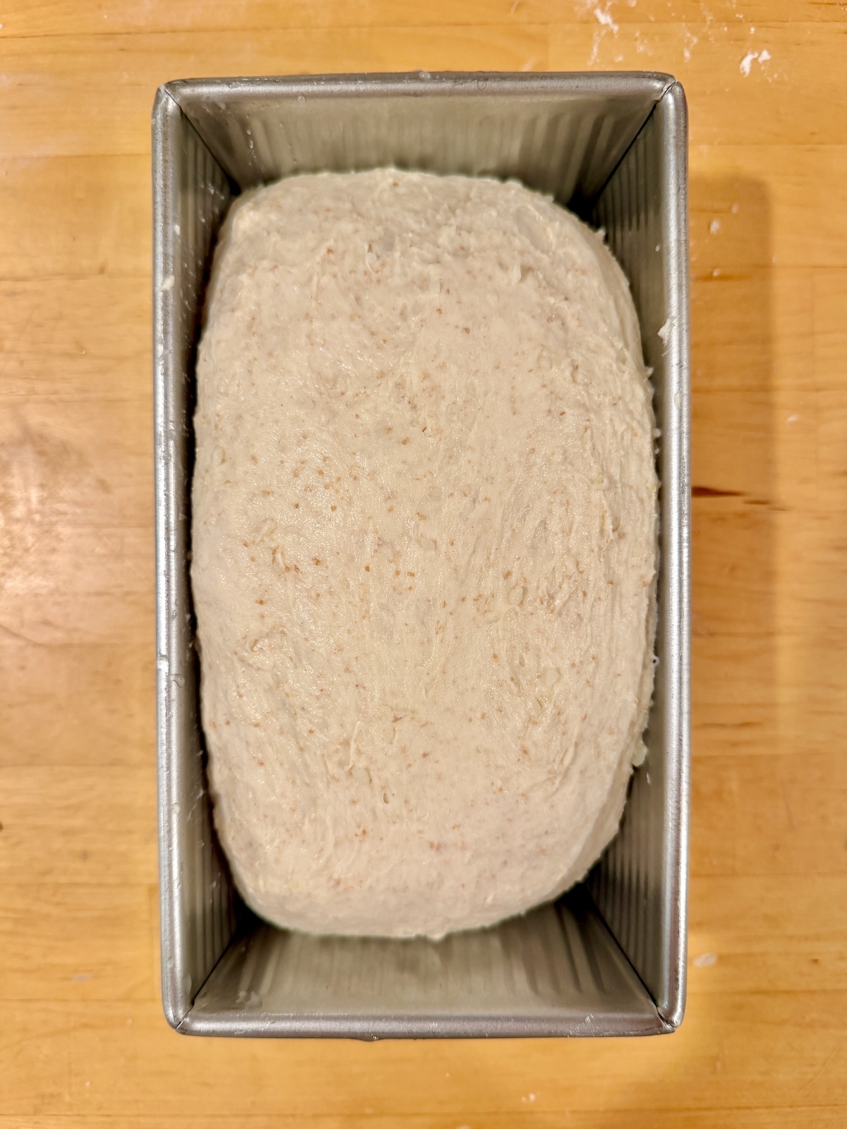 The shaped dough in an aluminum loaf pan.