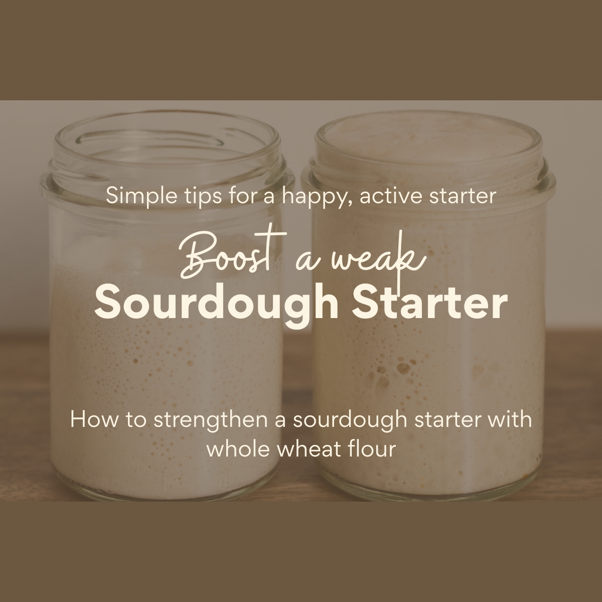 Two mason jars filled with bubbly sourdough starter on a neutral countertop. Text overlay reads: "Simple tips for a happy, active starter. Boost a Weak Sourdough Starter. How to strengthen a sourdough starter with whole wheat flour."