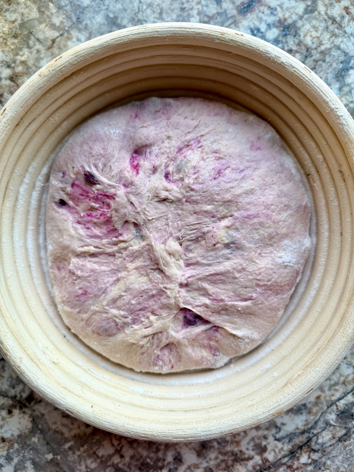 Blueberry sourdough bread dough in a banneton proofing basket before cold proofing overnight.