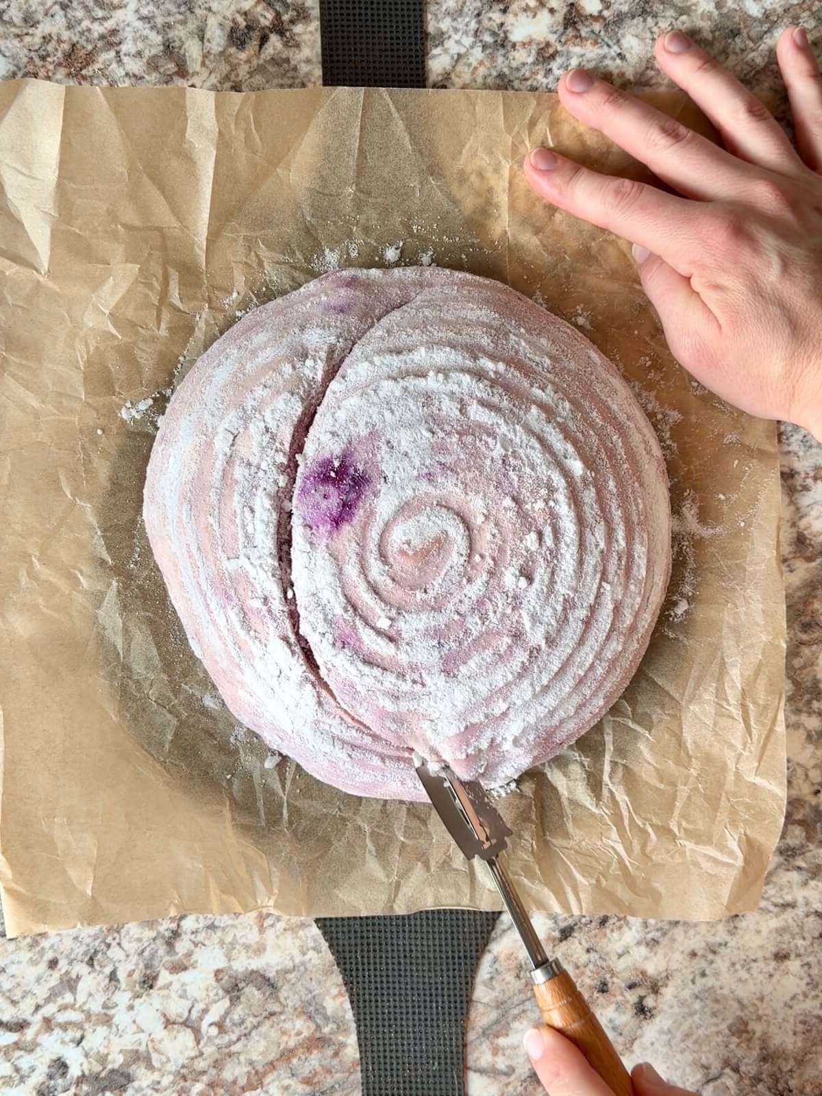 Blueberry lemon sourdough bread dough being scored with a lame on a piece of parchment paper.