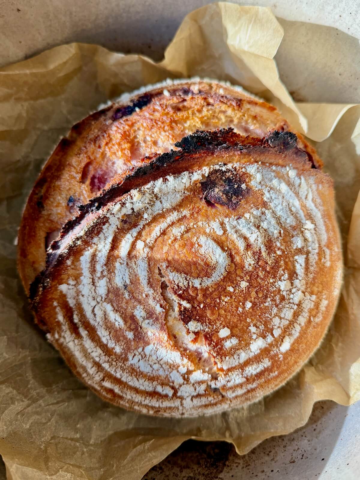 A baked loaf of lemon blueberry sourdough bread in a Dutch oven.