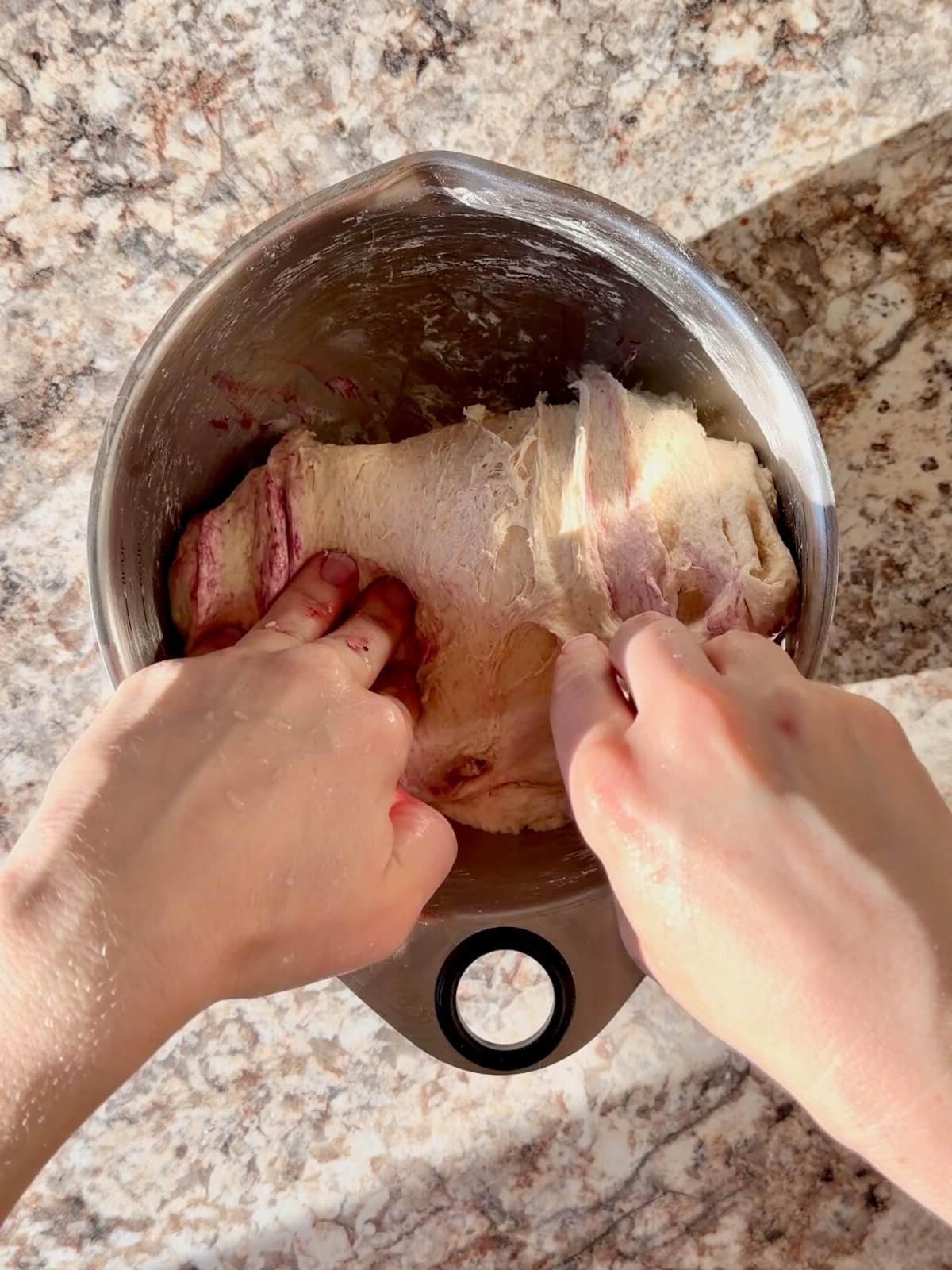 Two hands stretching, folding, and mixing blueberries into sourdough bread dough.