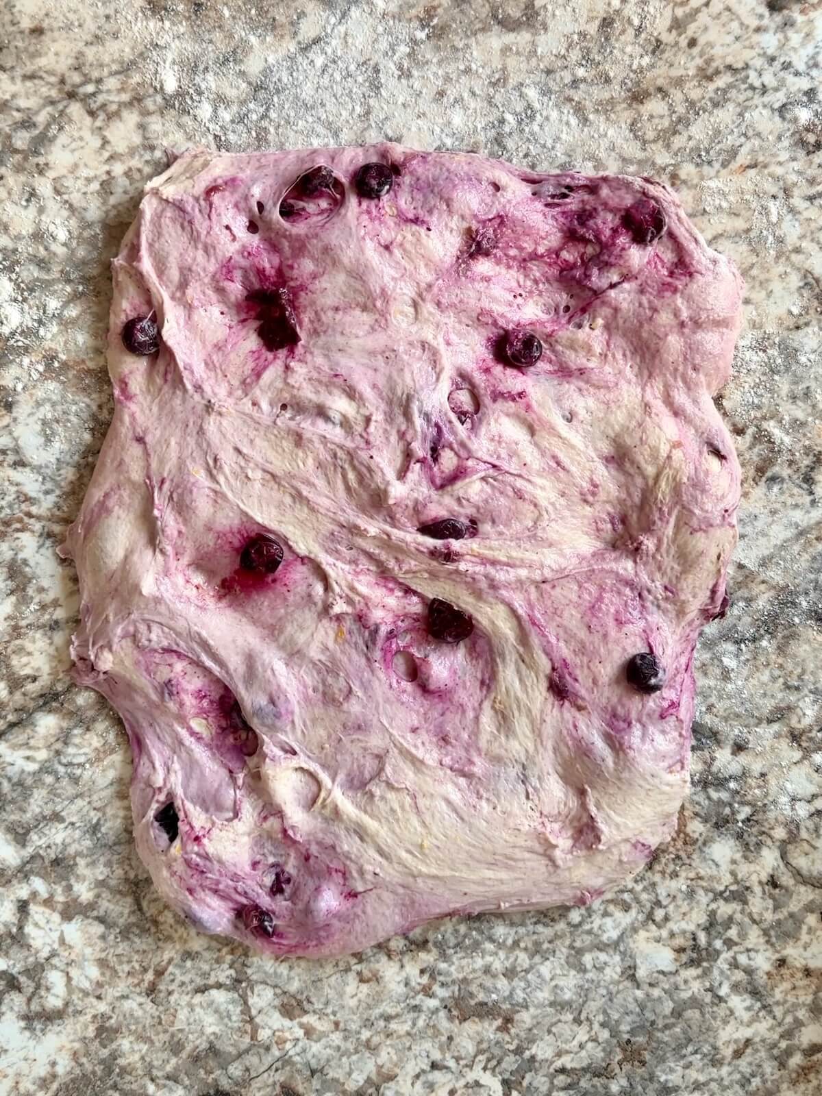 Fermented blueberry sourdough bread dough stretched into a rectangle on a floured counter.