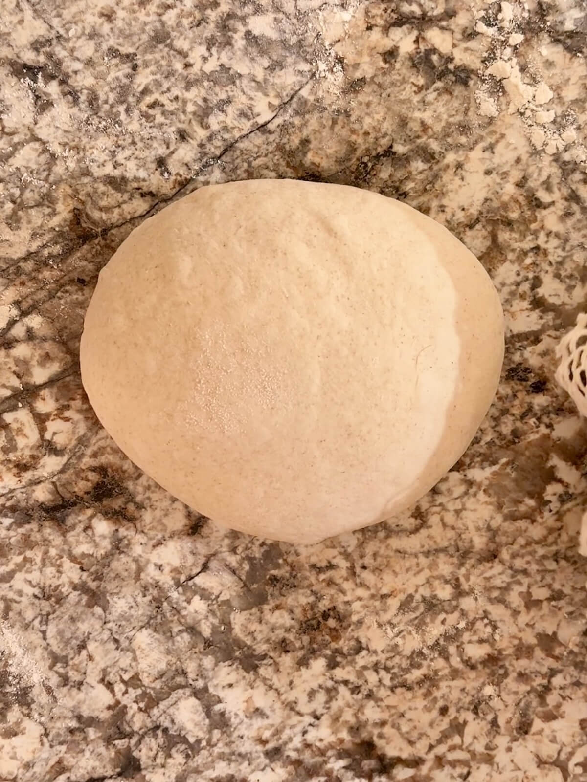 A shaped dough ball of sourdough bread dough.