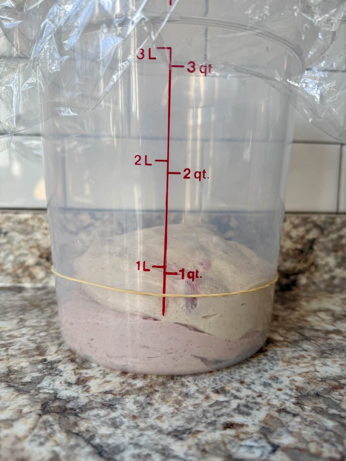 Freeze-dried strawberry sourdough bread dough in a straight-sided container before bulk fermentation.