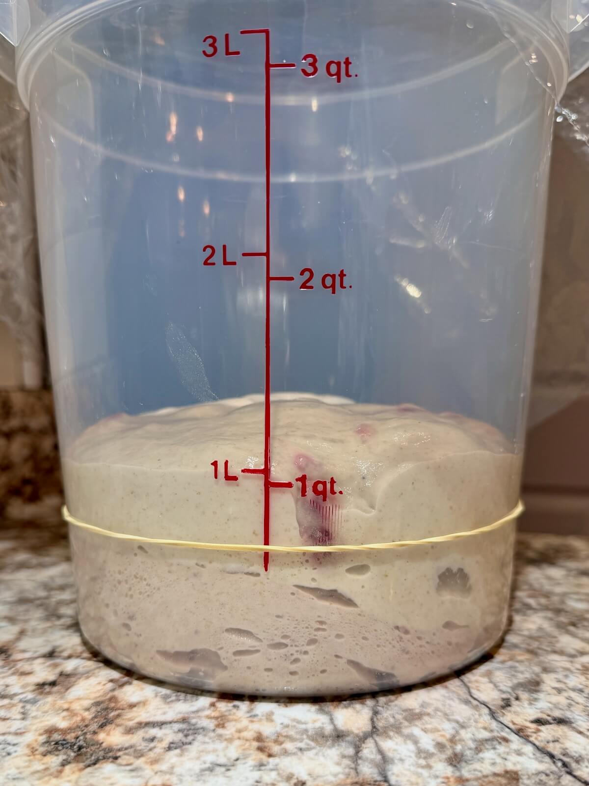Freeze-dried strawberry sourdough bread dough in a straight-sided container after bulk fermentation.