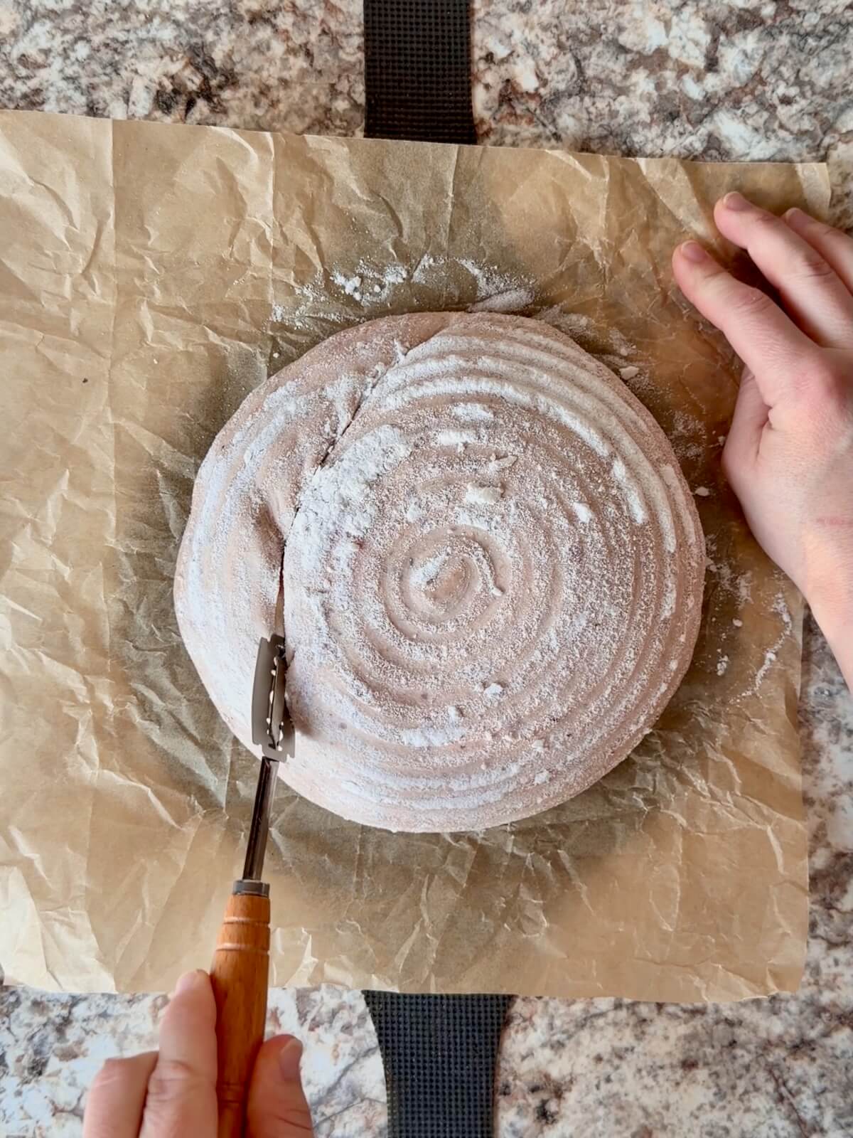 Strawberry sourdough bread dough being scored on a piece of parchment paper.